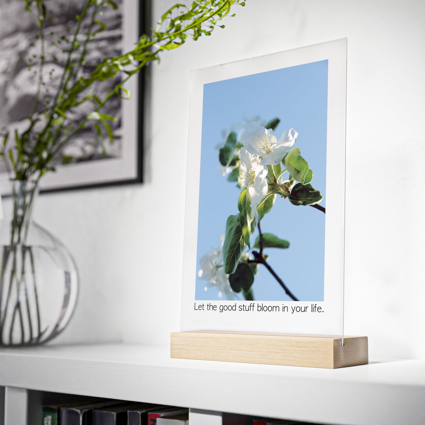 Acrylic Sign "Let the good stuff bloom in your life.“ - Elegant and inspiring art piece with Photograph „Apfelblüte/Apple Blossom“ by Sarah Buhl