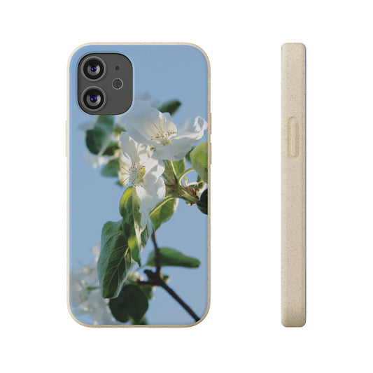 Biodegradable Phone Case „Apfelblüte/Apple Blossom“ – Eco-Friendly Artistic Accessory with Photo Design by Sarah Buhl – Magsafe® Compatible