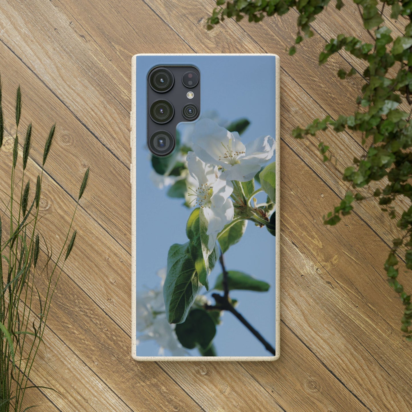 Eco-Friendly Biodegradable Phone Case ‚Apfelblüte‘/,Apple Blossom’ – Photo Design by Sarah Buhl – Magsafe® Compatible