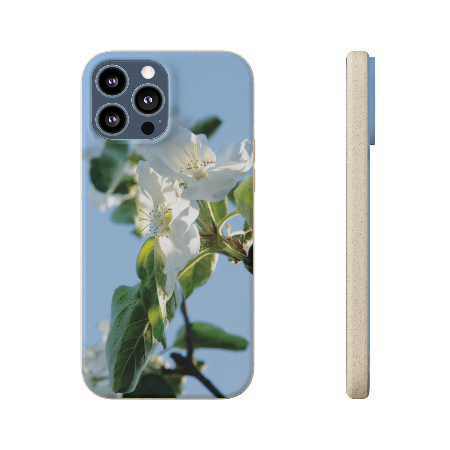 Biodegradable Phone Case „Apfelblüte/Apple Blossom“ – Eco-Friendly Artistic Accessory with Photo Design by Sarah Buhl – Magsafe® Compatible