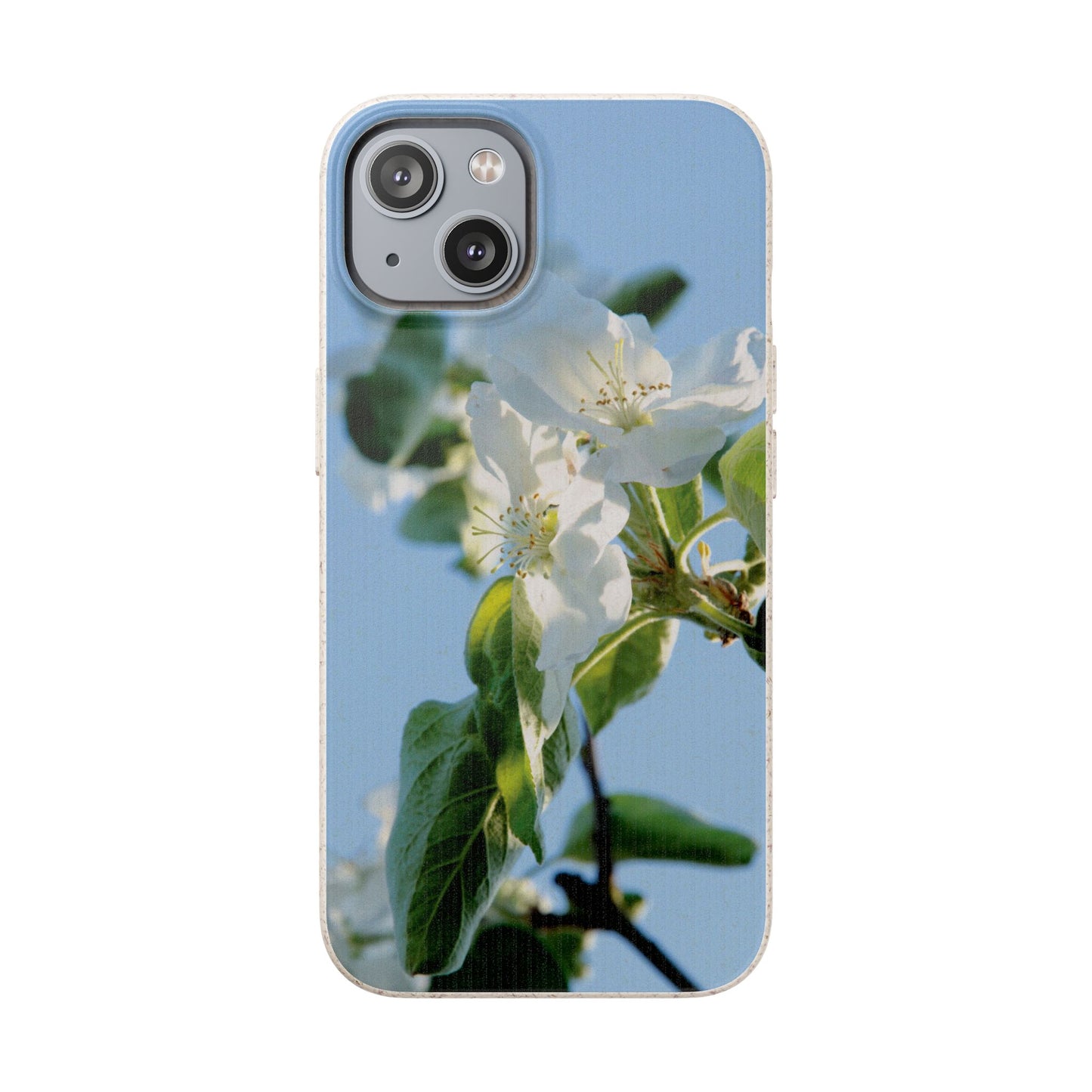 Biodegradable Phone Case „Apfelblüte/Apple Blossom“ – Eco-Friendly Artistic Accessory with Photo Design by Sarah Buhl – Magsafe® Compatible