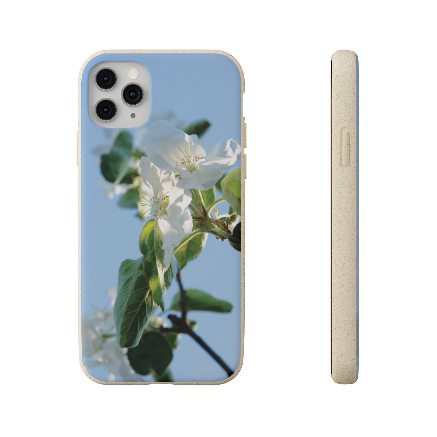 Biodegradable Phone Case „Apfelblüte/Apple Blossom“ – Eco-Friendly Artistic Accessory with Photo Design by Sarah Buhl – Magsafe® Compatible