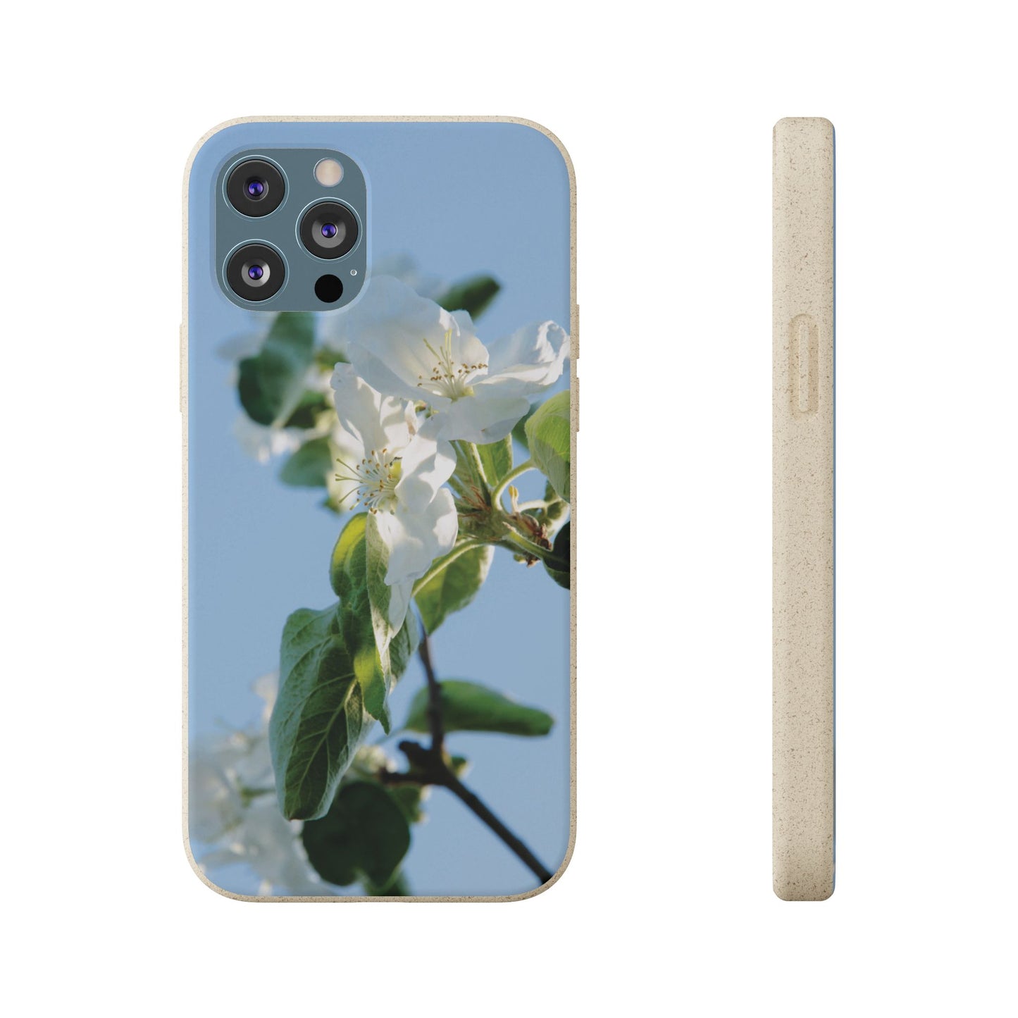 Biodegradable Phone Case „Apfelblüte/Apple Blossom“ – Eco-Friendly Artistic Accessory with Photo Design by Sarah Buhl – Magsafe® Compatible
