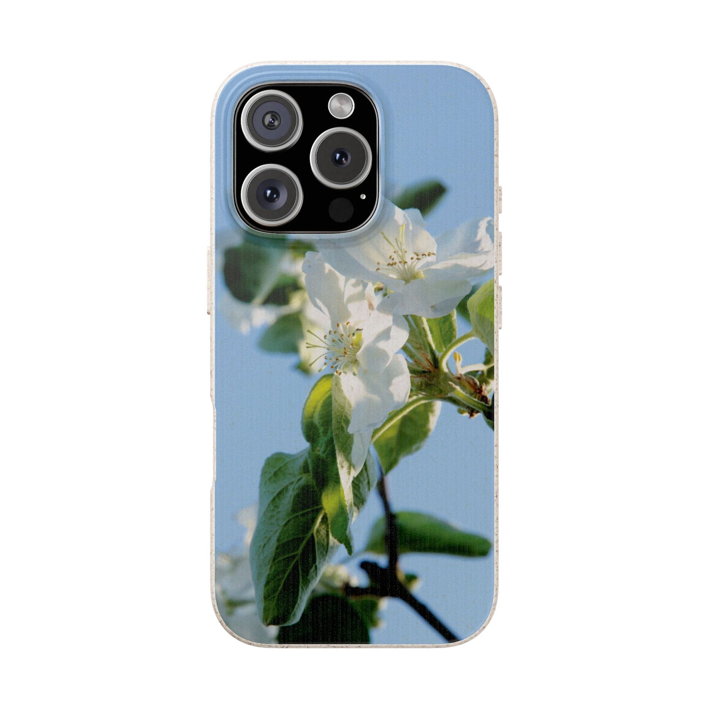 Biodegradable Phone Case „Apfelblüte/Apple Blossom“ – Eco-Friendly Artistic Accessory with Photo Design by Sarah Buhl – Magsafe® Compatible
