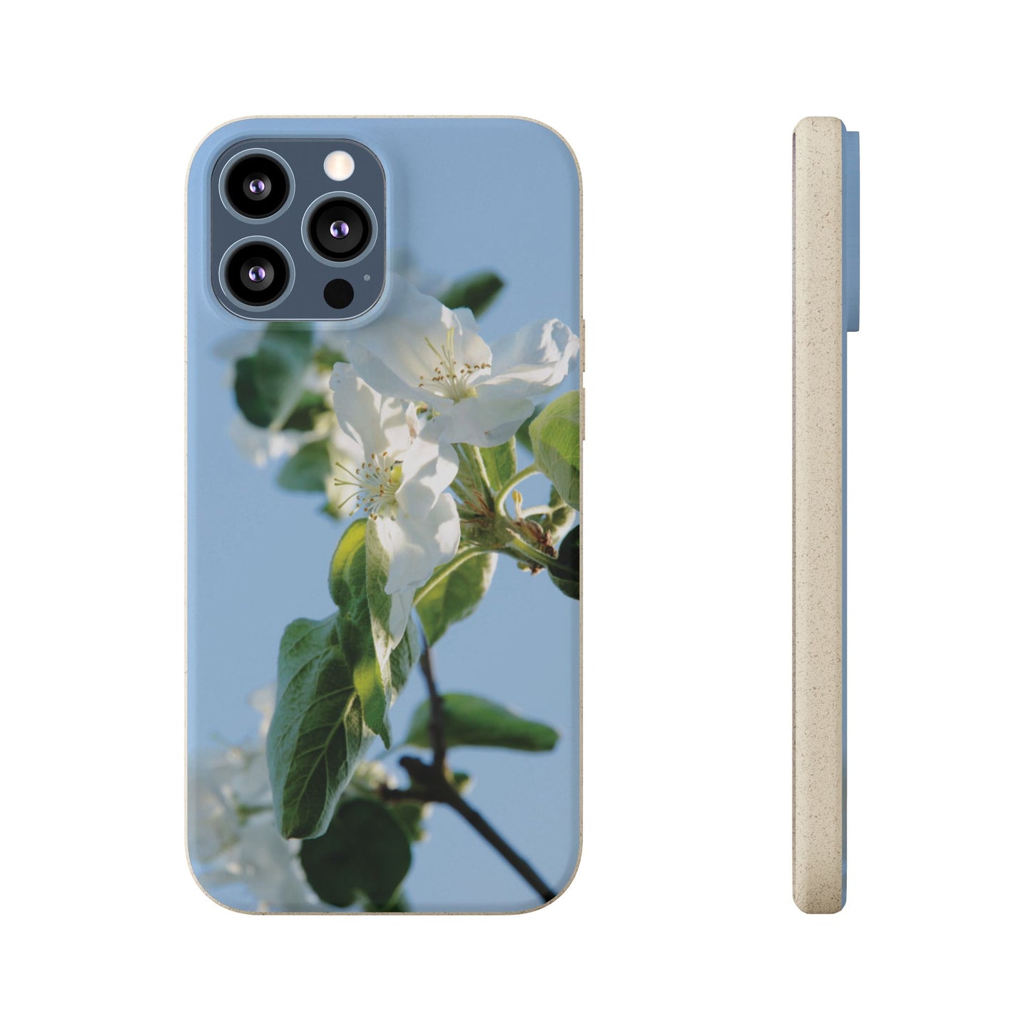 Biodegradable Phone Case „Apfelblüte/Apple Blossom“ – Eco-Friendly Artistic Accessory with Photo Design by Sarah Buhl – Magsafe® Compatible