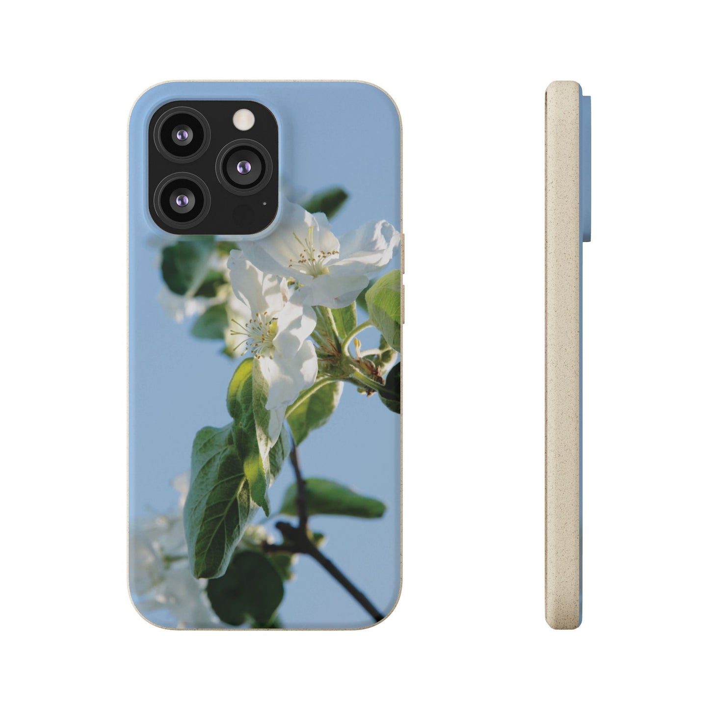 Biodegradable Phone Case „Apfelblüte/Apple Blossom“ – Eco-Friendly Artistic Accessory with Photo Design by Sarah Buhl – Magsafe® Compatible
