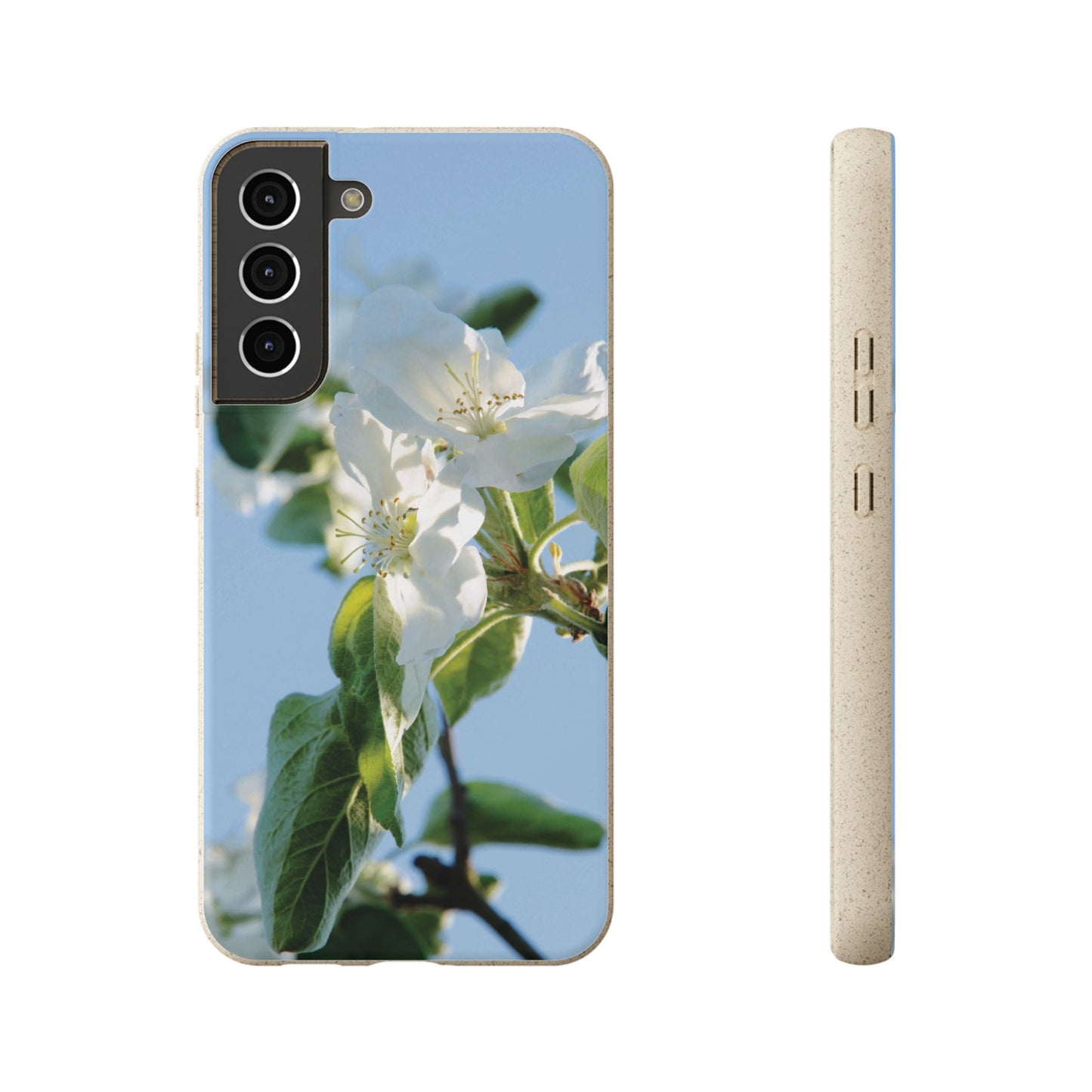 Eco-Friendly Biodegradable Phone Case ‚Apfelblüte‘/,Apple Blossom’ – Photo Design by Sarah Buhl – Magsafe® Compatible