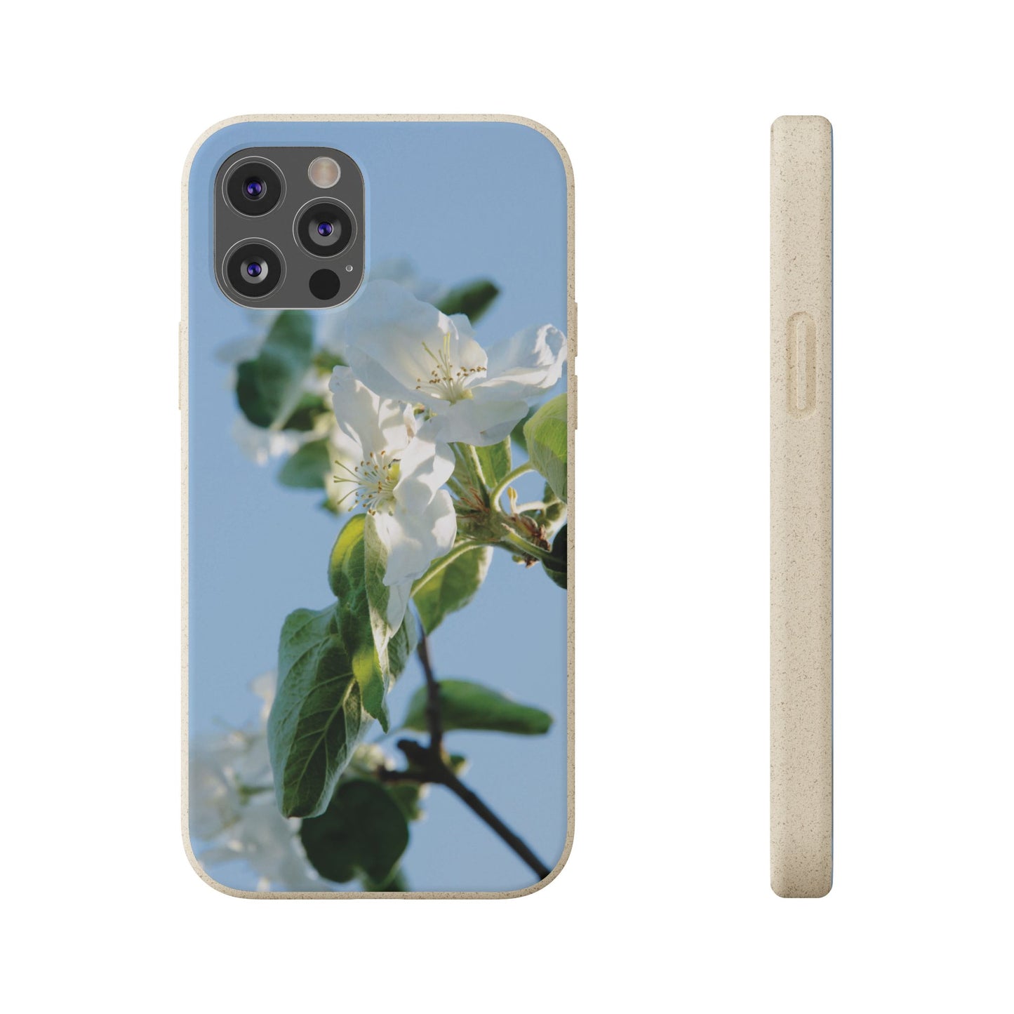 Biodegradable Phone Case „Apfelblüte/Apple Blossom“ – Eco-Friendly Artistic Accessory with Photo Design by Sarah Buhl – Magsafe® Compatible