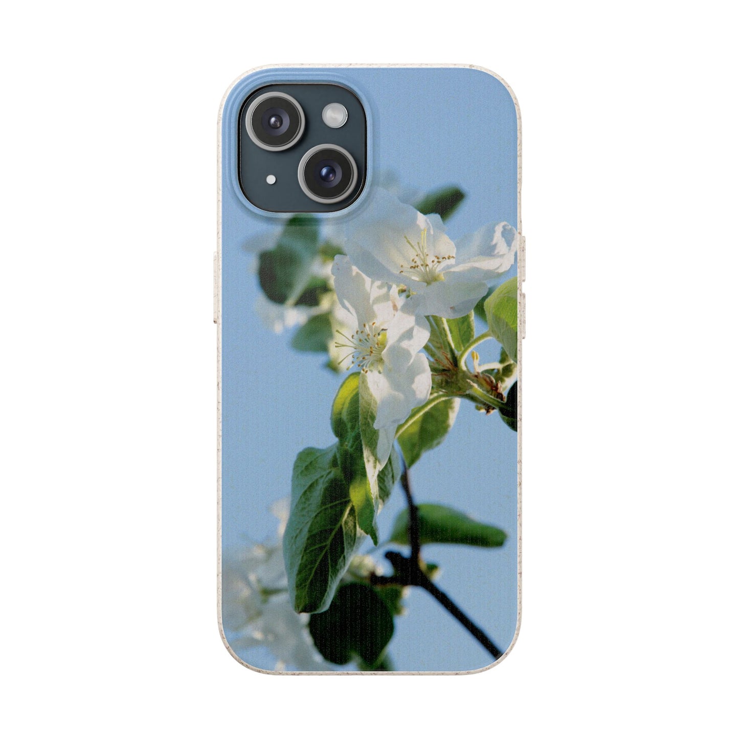 Biodegradable Phone Case „Apfelblüte/Apple Blossom“ – Eco-Friendly Artistic Accessory with Photo Design by Sarah Buhl – Magsafe® Compatible