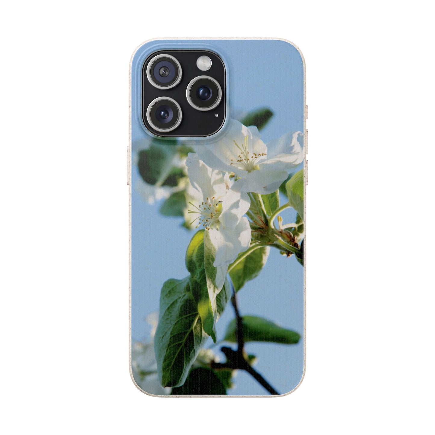 Biodegradable Phone Case „Apfelblüte/Apple Blossom“ – Eco-Friendly Artistic Accessory with Photo Design by Sarah Buhl – Magsafe® Compatible
