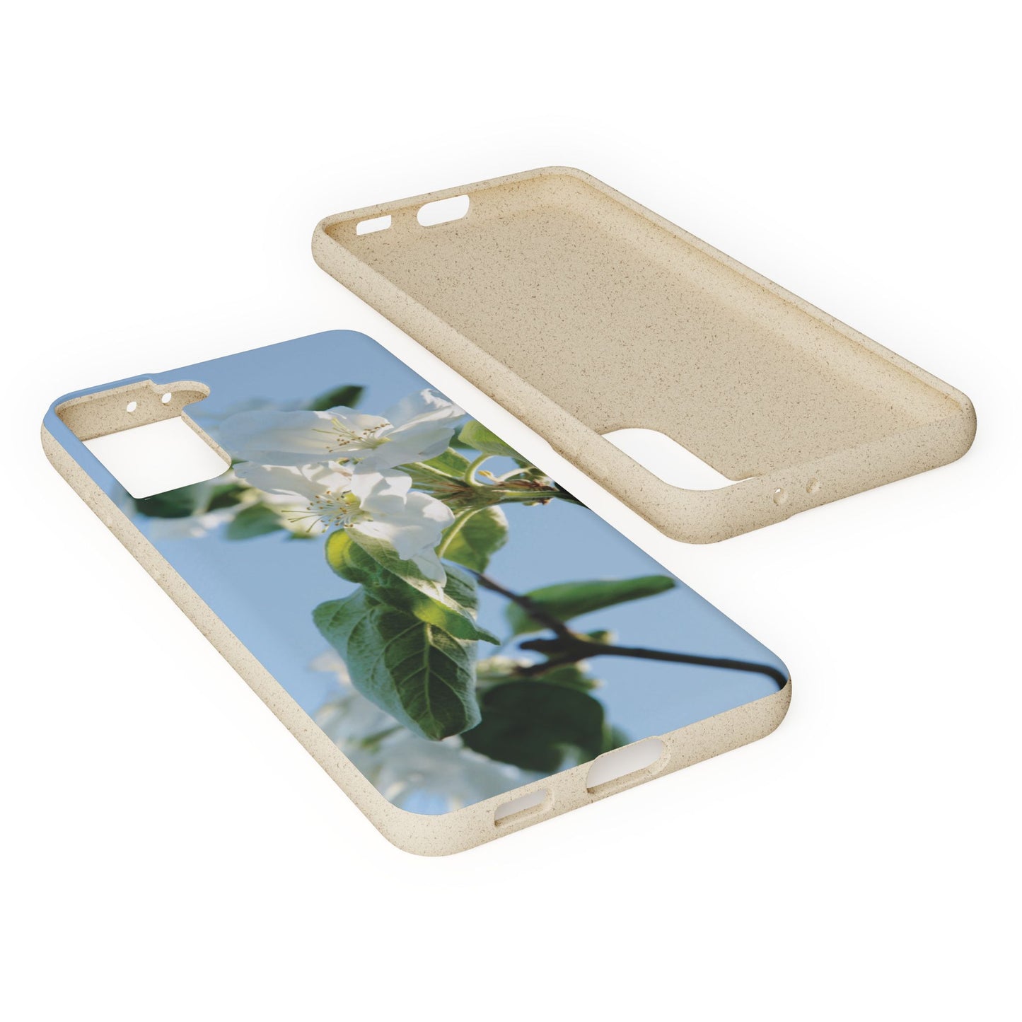Biodegradable Phone Case „Apfelblüte/Apple Blossom“ – Eco-Friendly Artistic Accessory with Photo Design by Sarah Buhl – Magsafe® Compatible