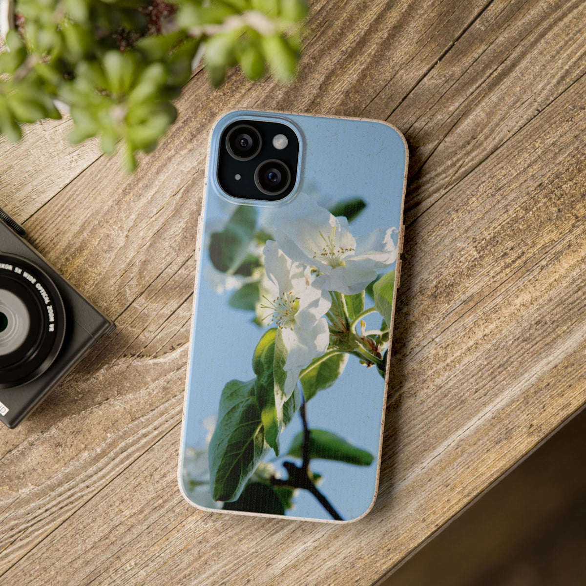 Biodegradable Phone Case „Apfelblüte/Apple Blossom“ – Eco-Friendly Artistic Accessory with Photo Design by Sarah Buhl – Magsafe® Compatible