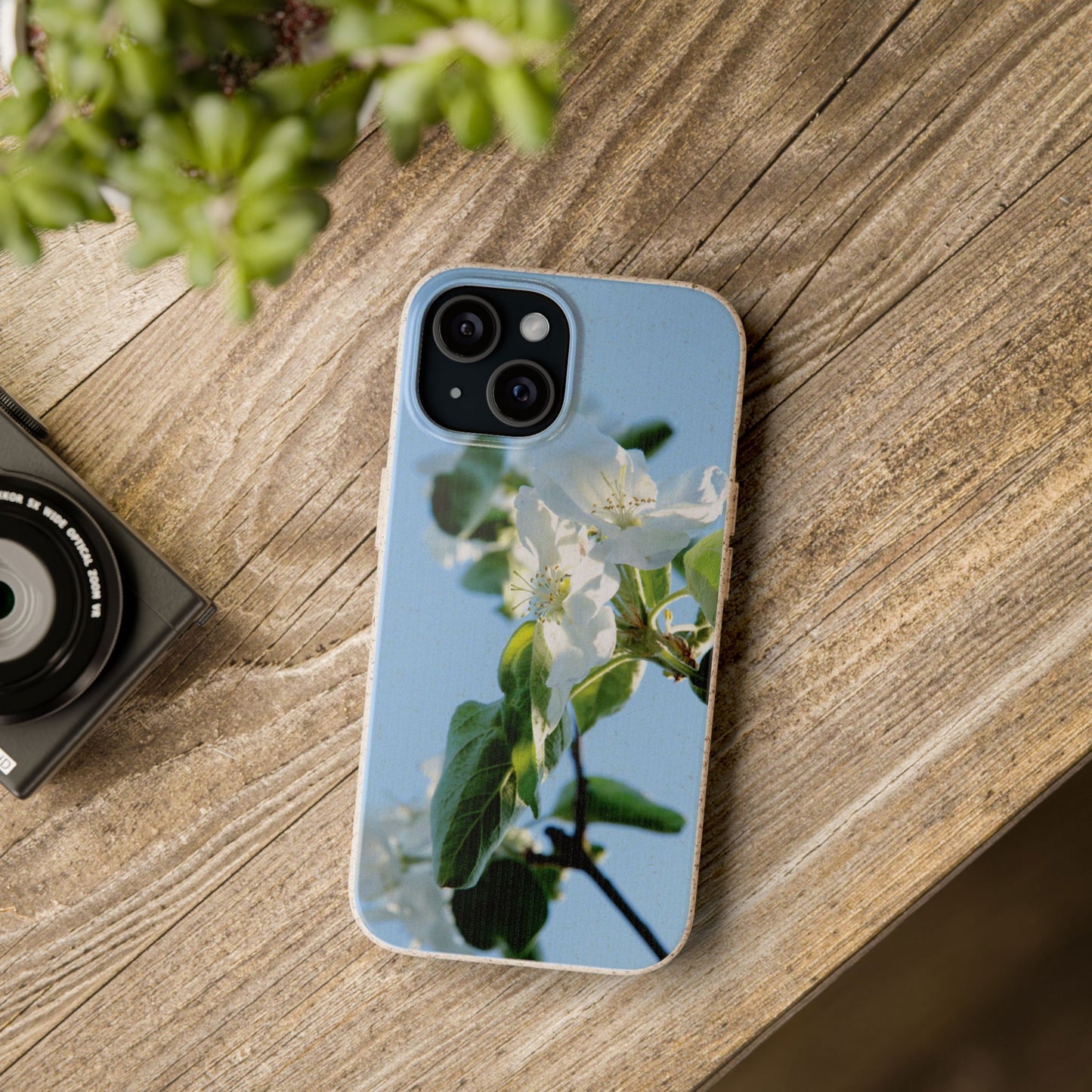 Biodegradable Phone Case „Apfelblüte/Apple Blossom“ – Eco-Friendly Artistic Accessory with Photo Design by Sarah Buhl – Magsafe® Compatible