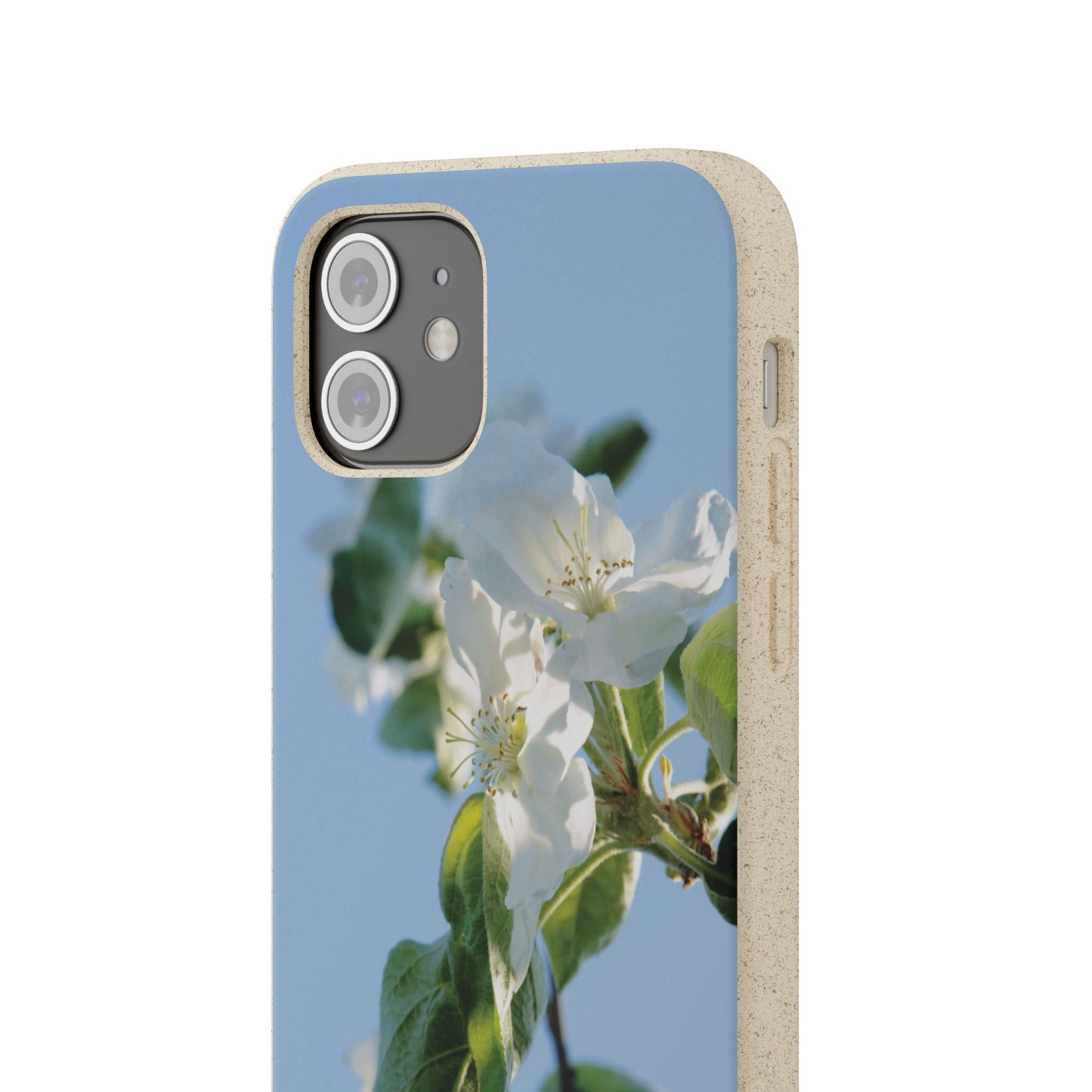 Biodegradable Phone Case „Apfelblüte/Apple Blossom“ – Eco-Friendly Artistic Accessory with Photo Design by Sarah Buhl – Magsafe® Compatible