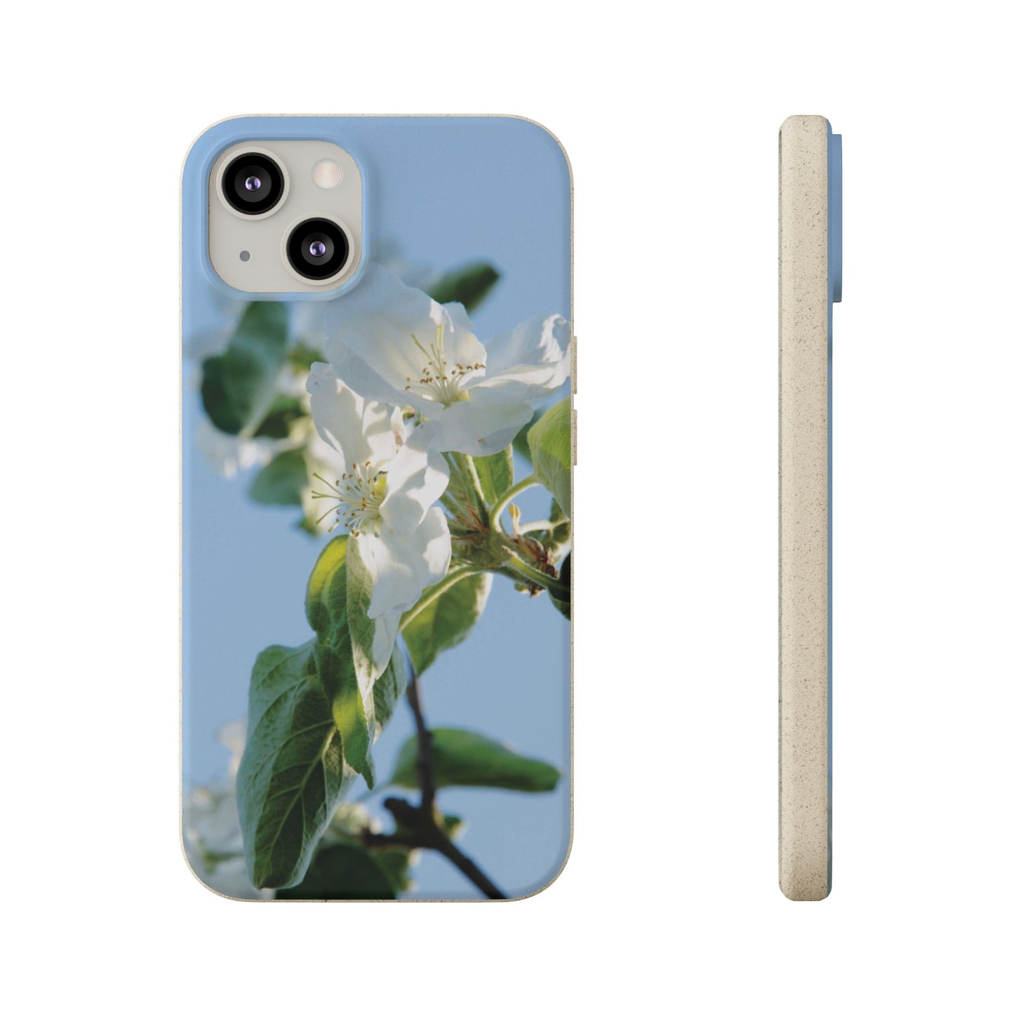 Biodegradable Phone Case „Apfelblüte/Apple Blossom“ – Eco-Friendly Artistic Accessory with Photo Design by Sarah Buhl – Magsafe® Compatible