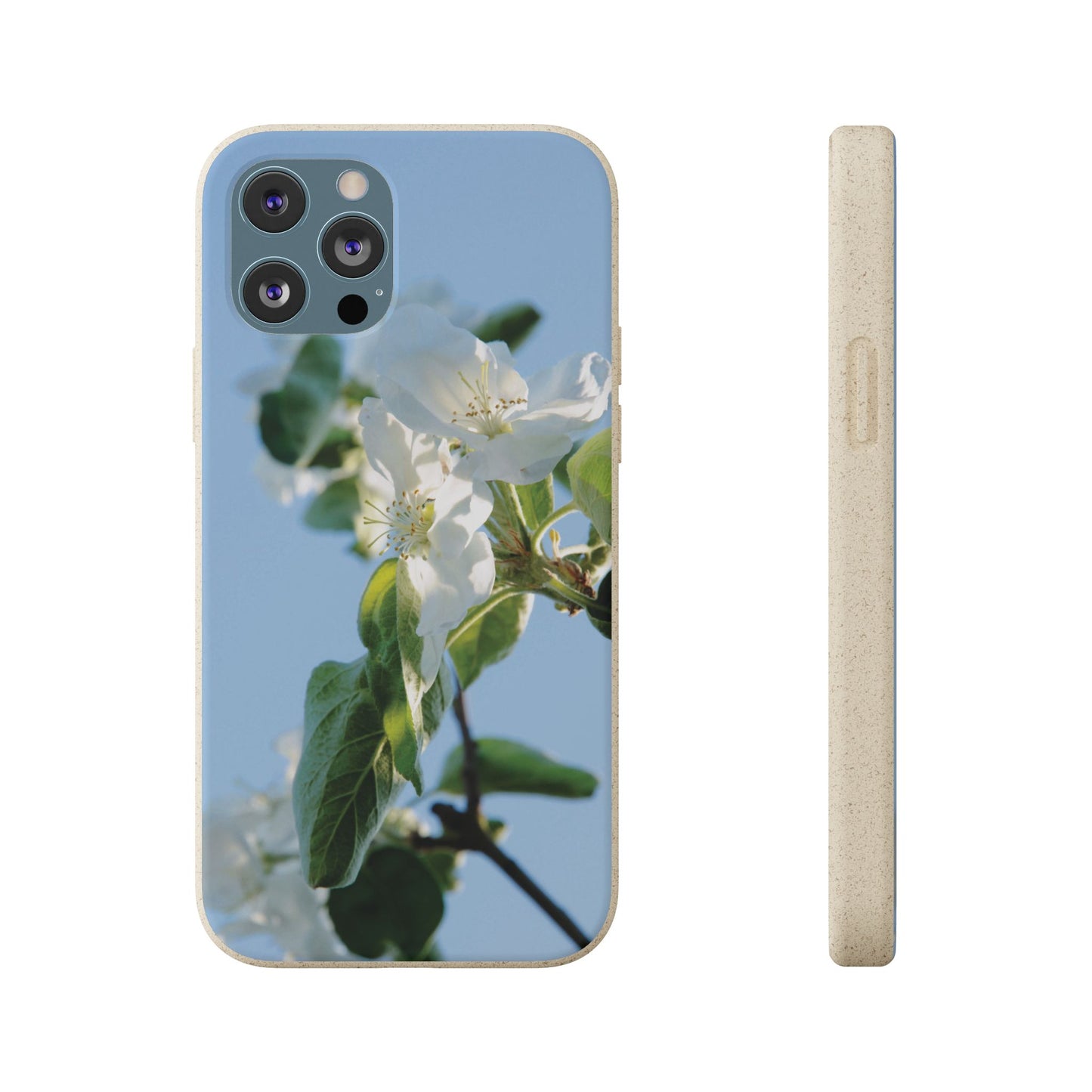 Biodegradable Phone Case „Apfelblüte/Apple Blossom“ – Eco-Friendly Artistic Accessory with Photo Design by Sarah Buhl – Magsafe® Compatible