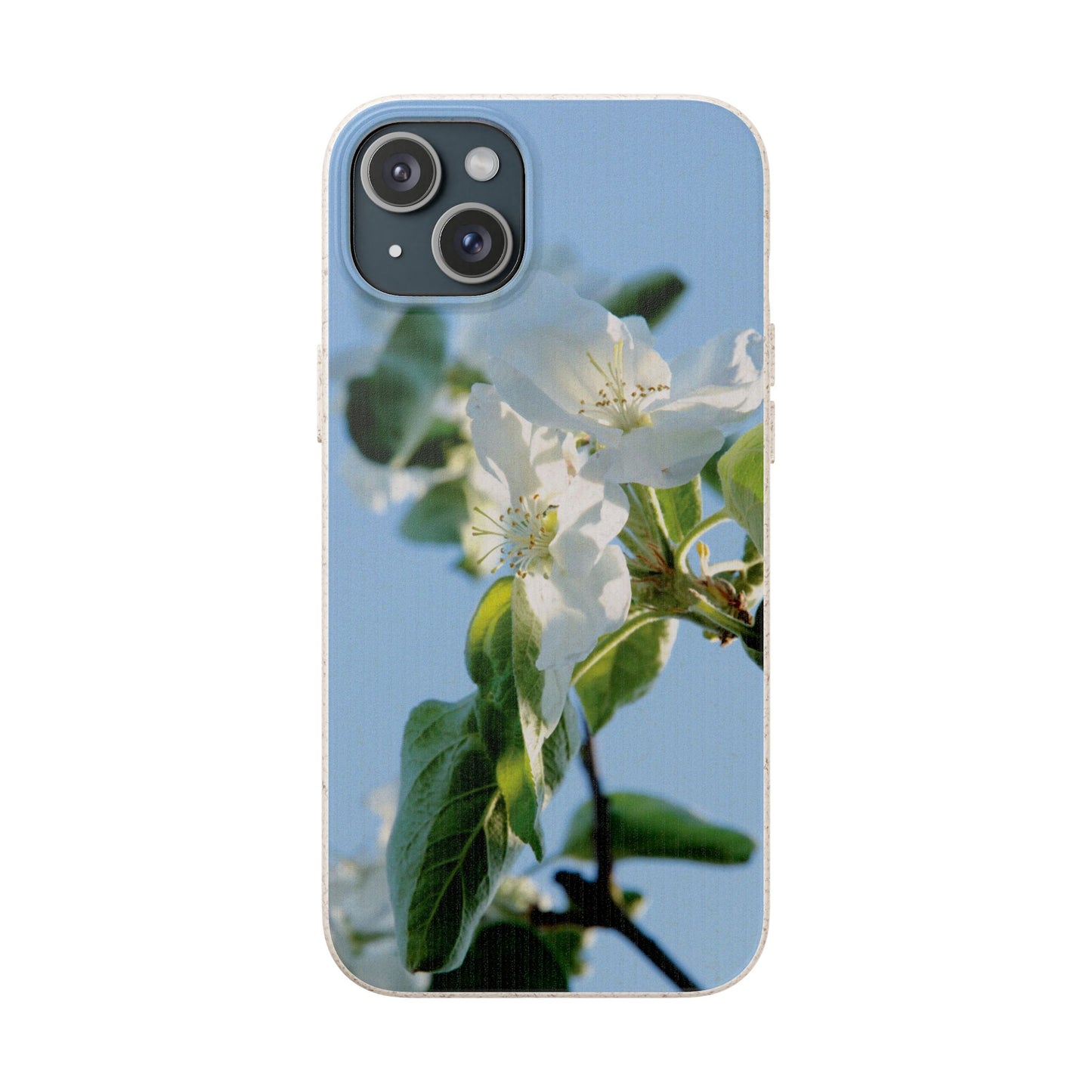 Biodegradable Phone Case „Apfelblüte/Apple Blossom“ – Eco-Friendly Artistic Accessory with Photo Design by Sarah Buhl – Magsafe® Compatible