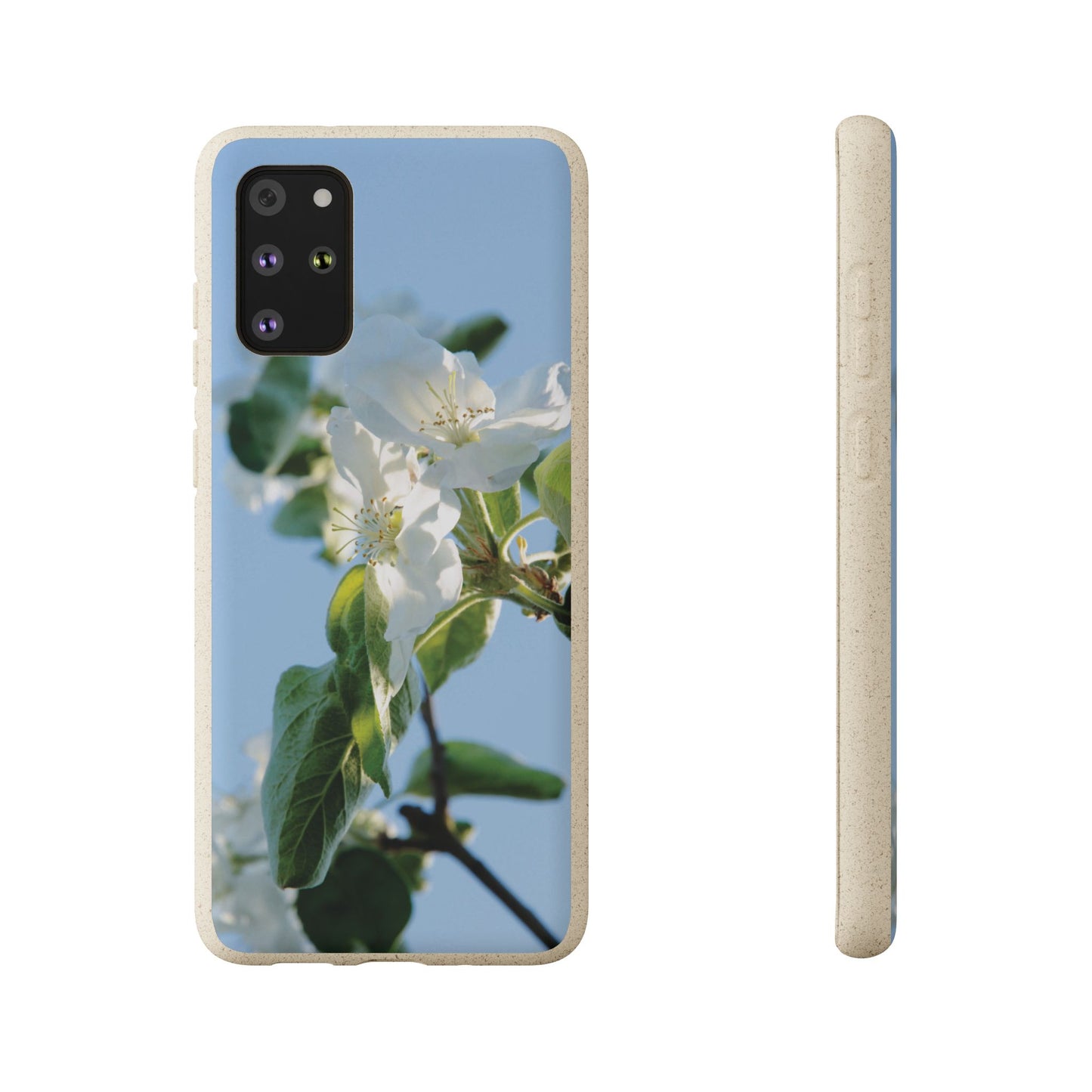 Biodegradable Phone Case „Apfelblüte/Apple Blossom“ – Eco-Friendly Artistic Accessory with Photo Design by Sarah Buhl – Magsafe® Compatible