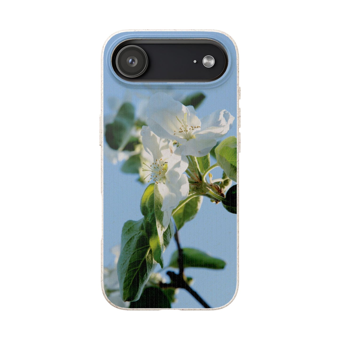 Biodegradable Phone Case „Apfelblüte/Apple Blossom“ – Eco-Friendly Artistic Accessory with Photo Design by Sarah Buhl – Magsafe® Compatible