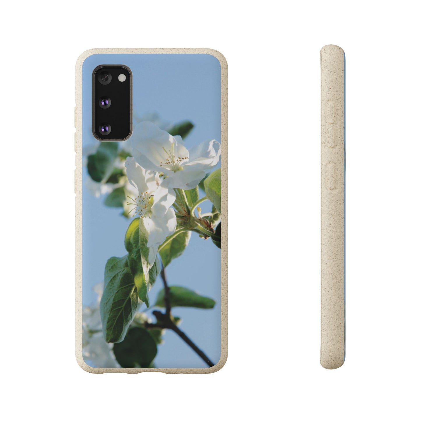 Biodegradable Phone Case „Apfelblüte/Apple Blossom“ – Eco-Friendly Artistic Accessory with Photo Design by Sarah Buhl – Magsafe® Compatible