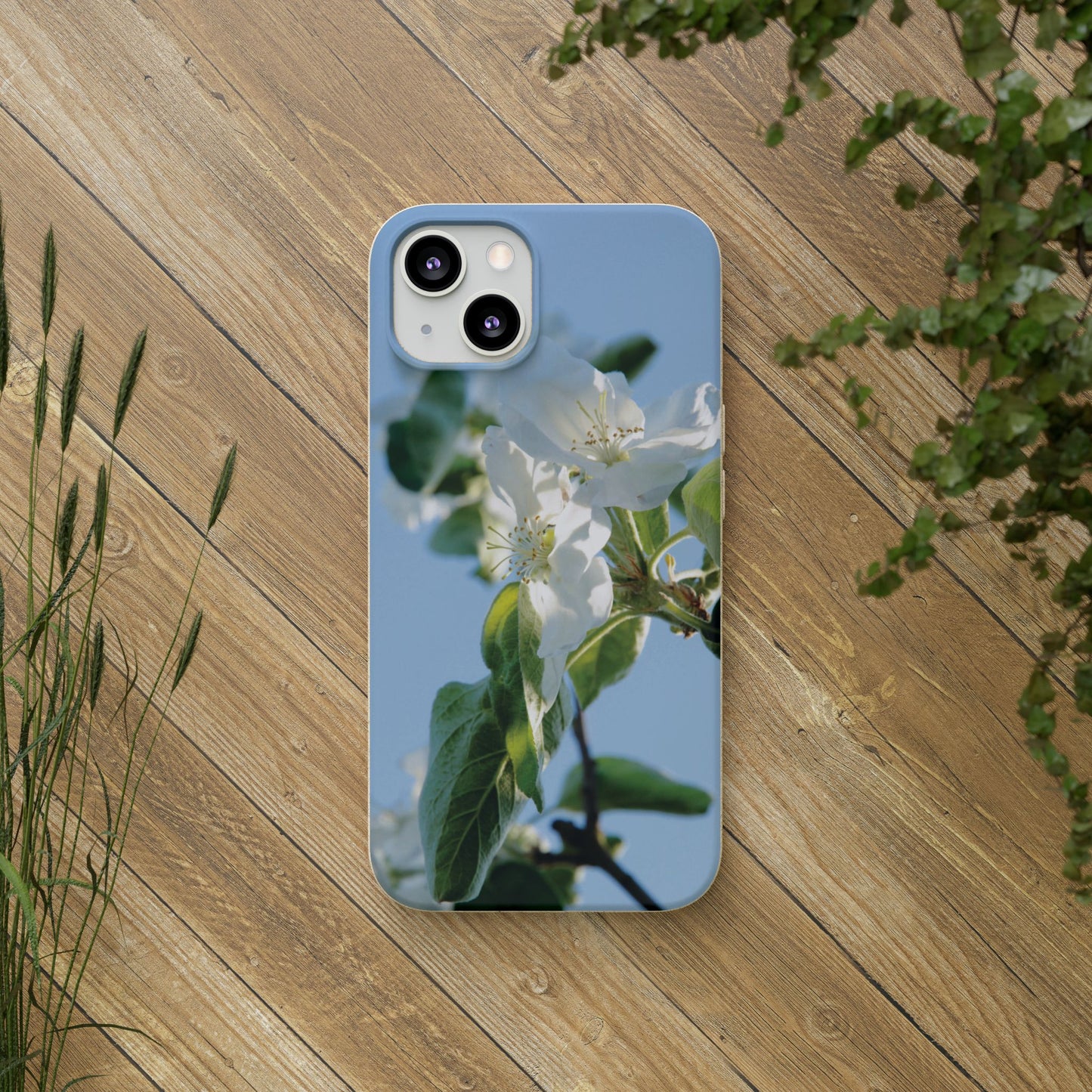 Biodegradable Phone Case „Apfelblüte/Apple Blossom“ – Eco-Friendly Artistic Accessory with Photo Design by Sarah Buhl – Magsafe® Compatible