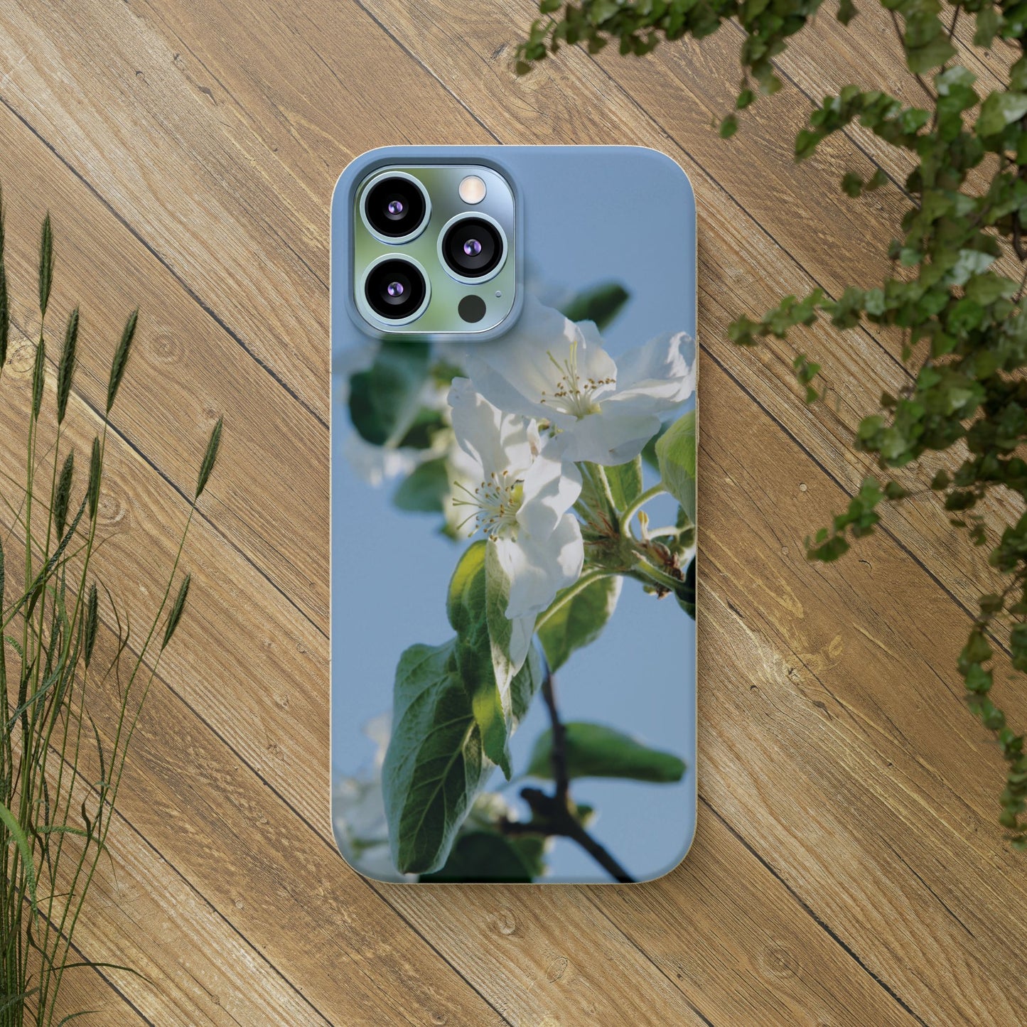 Eco-Friendly Biodegradable Phone Case ‚Apfelblüte‘/,Apple Blossom’ – Photo Design by Sarah Buhl – Magsafe® Compatible