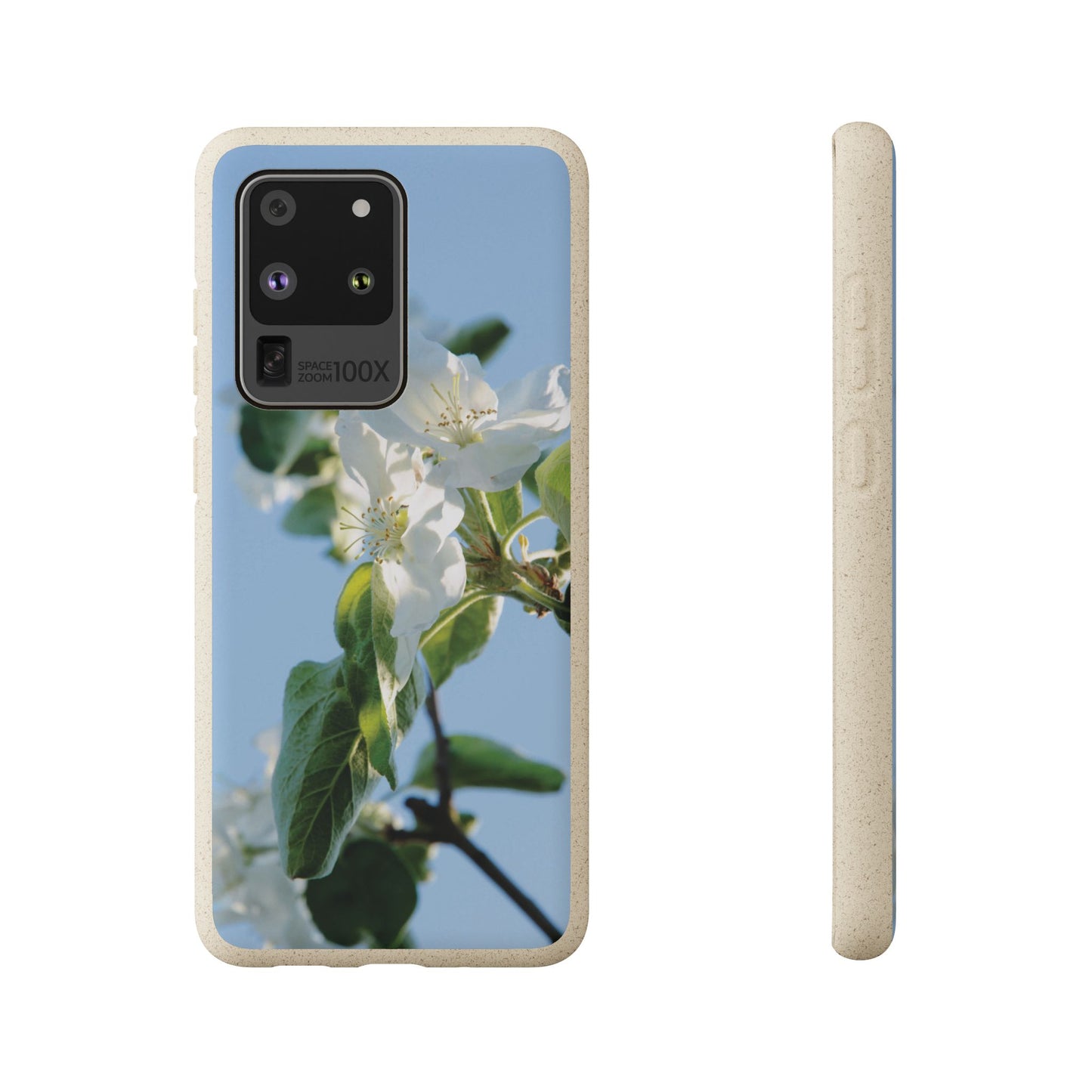 Biodegradable Phone Case „Apfelblüte/Apple Blossom“ – Eco-Friendly Artistic Accessory with Photo Design by Sarah Buhl – Magsafe® Compatible