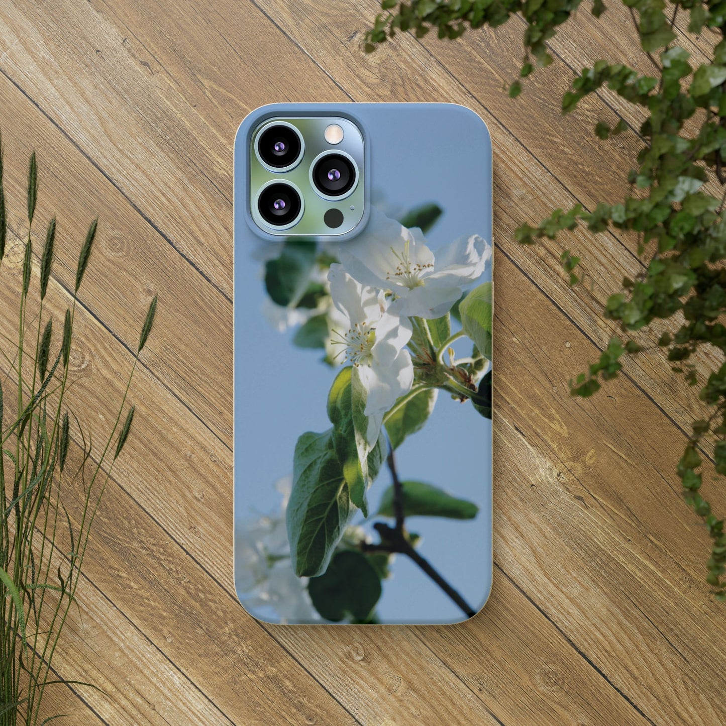 Eco-Friendly Biodegradable Phone Case ‚Apfelblüte‘/,Apple Blossom’ – Photo Design by Sarah Buhl – Magsafe® Compatible