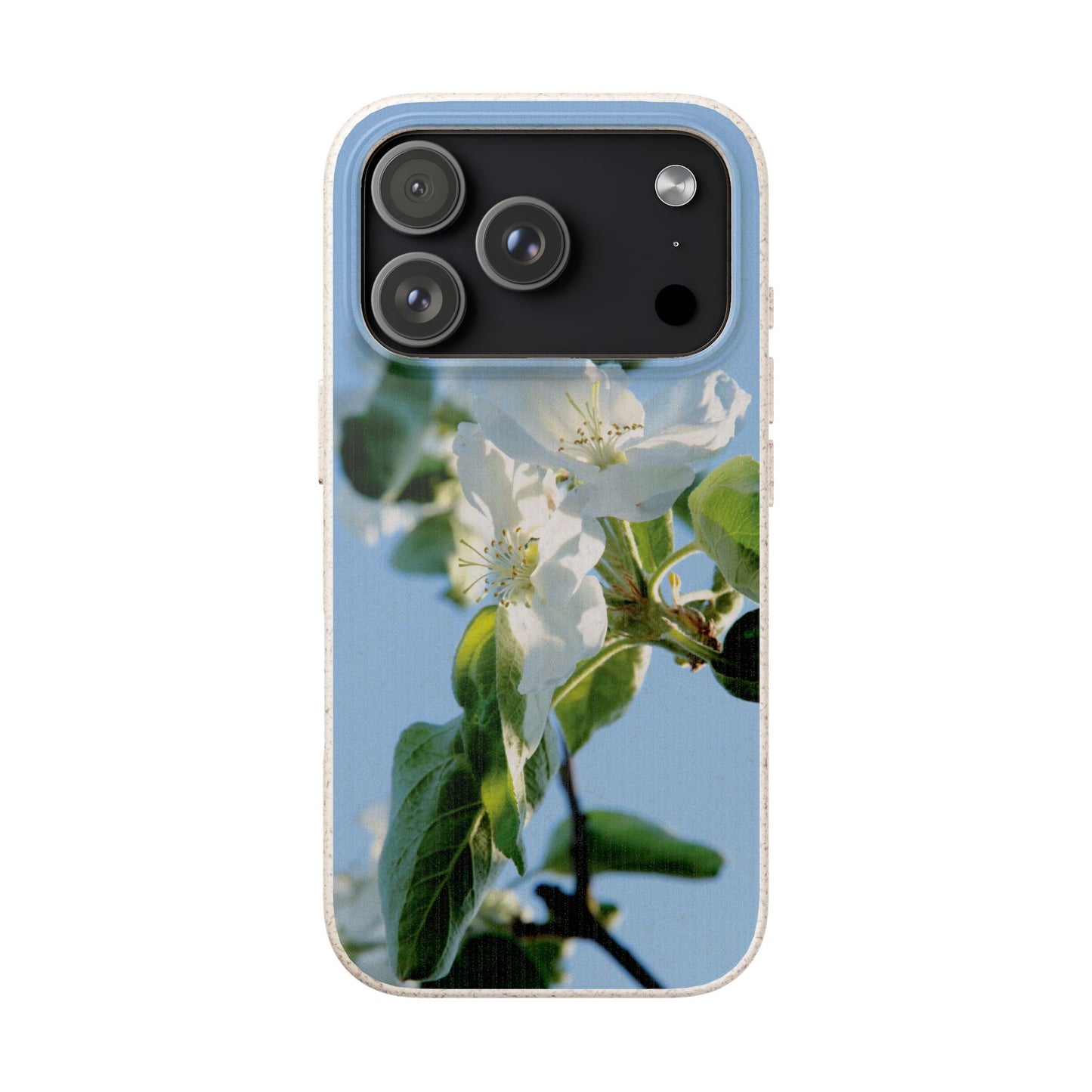 Biodegradable Phone Case „Apfelblüte/Apple Blossom“ – Eco-Friendly Artistic Accessory with Photo Design by Sarah Buhl – Magsafe® Compatible