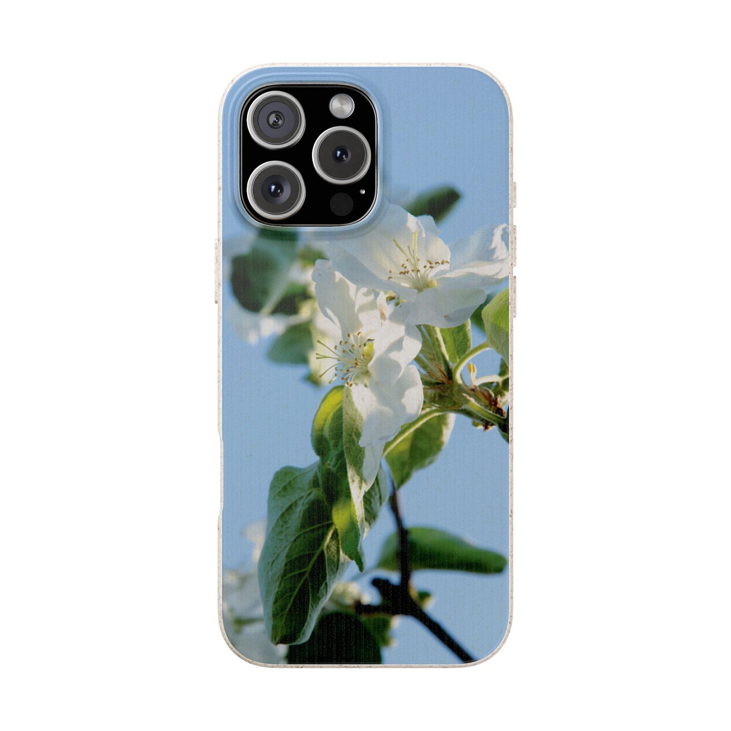 Biodegradable Phone Case „Apfelblüte/Apple Blossom“ – Eco-Friendly Artistic Accessory with Photo Design by Sarah Buhl – Magsafe® Compatible