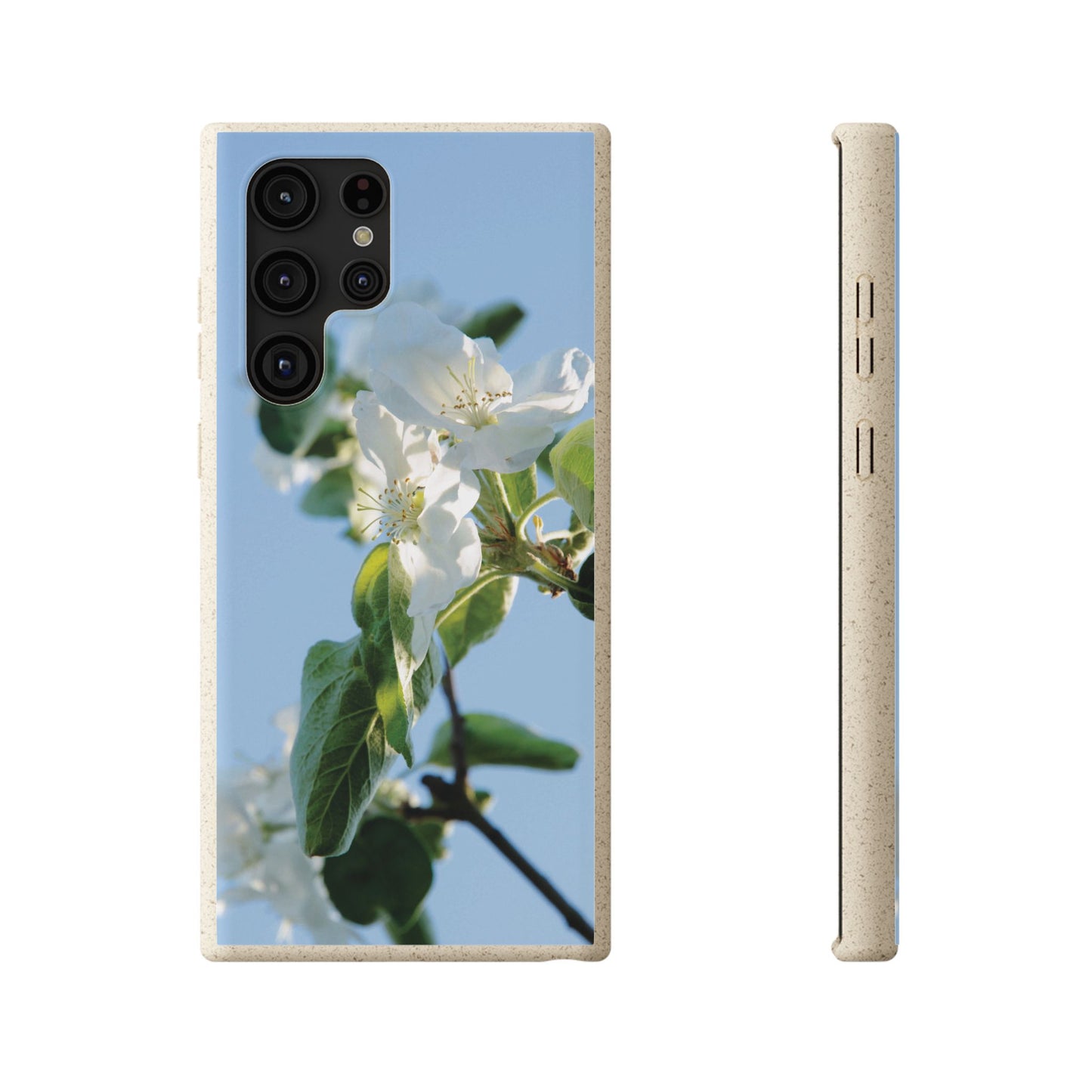 Eco-Friendly Biodegradable Phone Case ‚Apfelblüte‘/,Apple Blossom’ – Photo Design by Sarah Buhl – Magsafe® Compatible