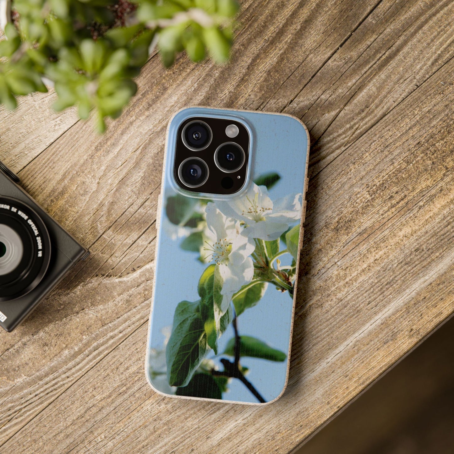 Biodegradable Phone Case „Apfelblüte/Apple Blossom“ – Eco-Friendly Artistic Accessory with Photo Design by Sarah Buhl – Magsafe® Compatible