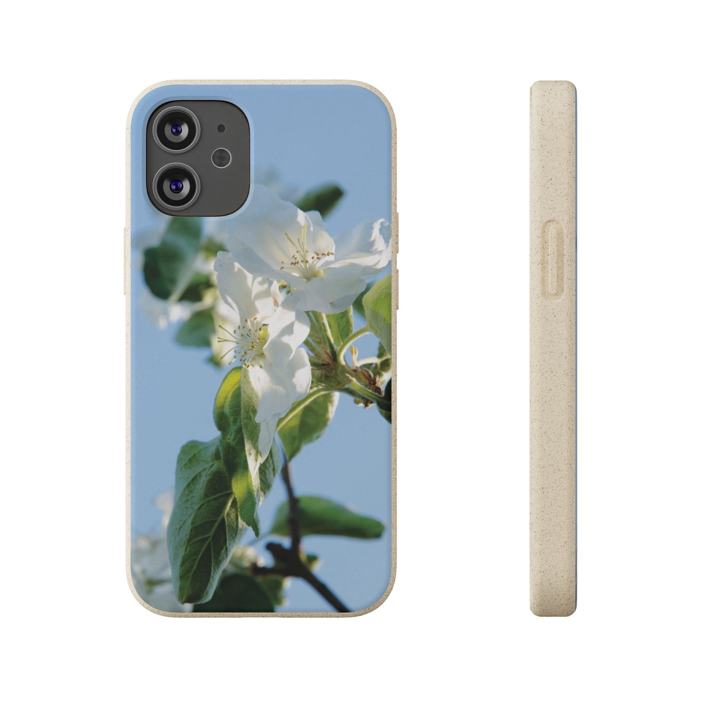 Biodegradable Phone Case „Apfelblüte/Apple Blossom“ – Eco-Friendly Artistic Accessory with Photo Design by Sarah Buhl – Magsafe® Compatible