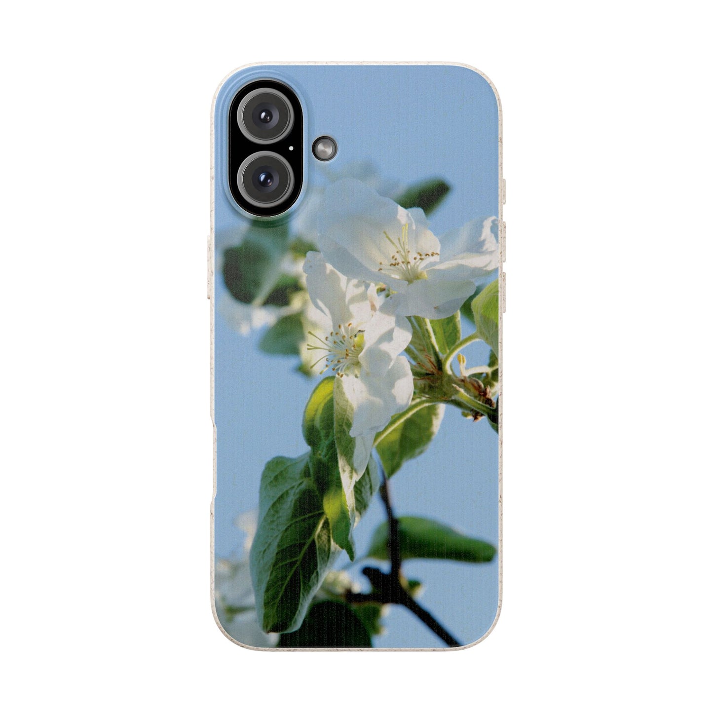 Biodegradable Phone Case „Apfelblüte/Apple Blossom“ – Eco-Friendly Artistic Accessory with Photo Design by Sarah Buhl – Magsafe® Compatible