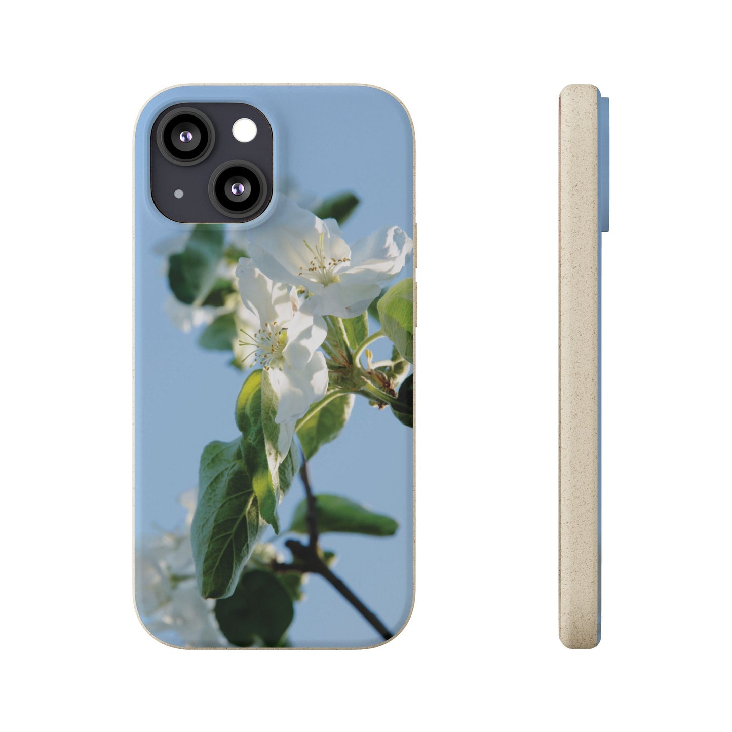 Biodegradable Phone Case „Apfelblüte/Apple Blossom“ – Eco-Friendly Artistic Accessory with Photo Design by Sarah Buhl – Magsafe® Compatible