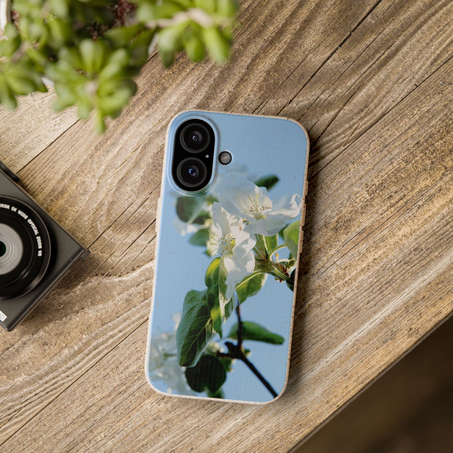 Biodegradable Phone Case „Apfelblüte/Apple Blossom“ – Eco-Friendly Artistic Accessory with Photo Design by Sarah Buhl – Magsafe® Compatible