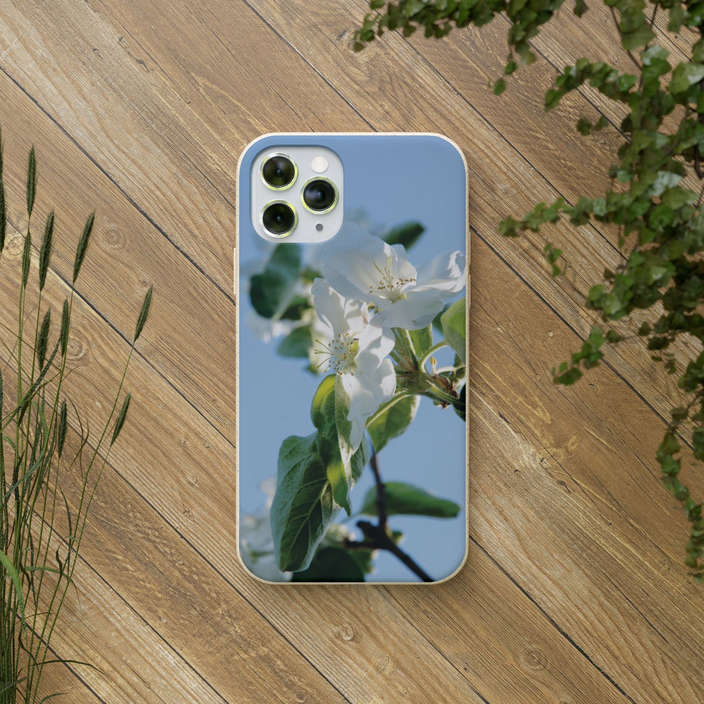 Eco-Friendly Biodegradable Phone Case ‚Apfelblüte‘/,Apple Blossom’ – Photo Design by Sarah Buhl – Magsafe® Compatible