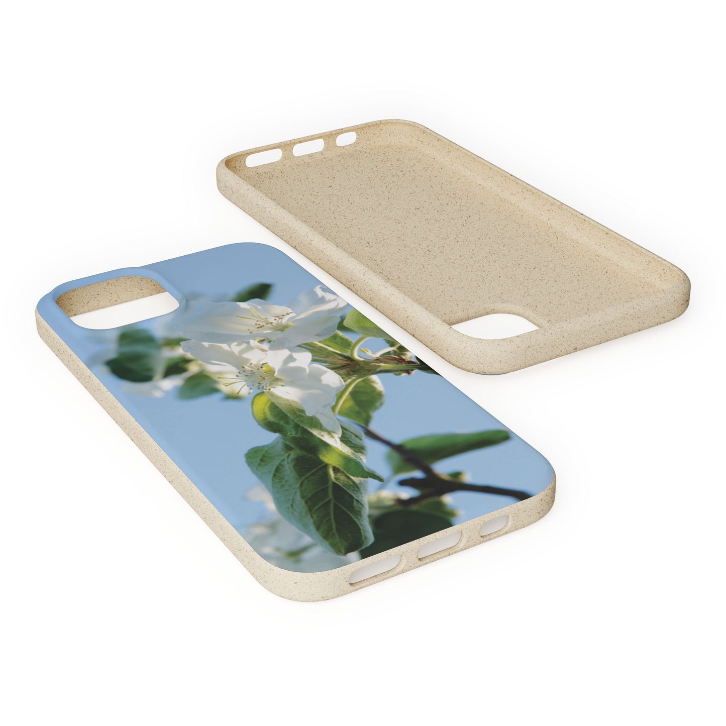 Biodegradable Phone Case „Apfelblüte/Apple Blossom“ – Eco-Friendly Artistic Accessory with Photo Design by Sarah Buhl – Magsafe® Compatible