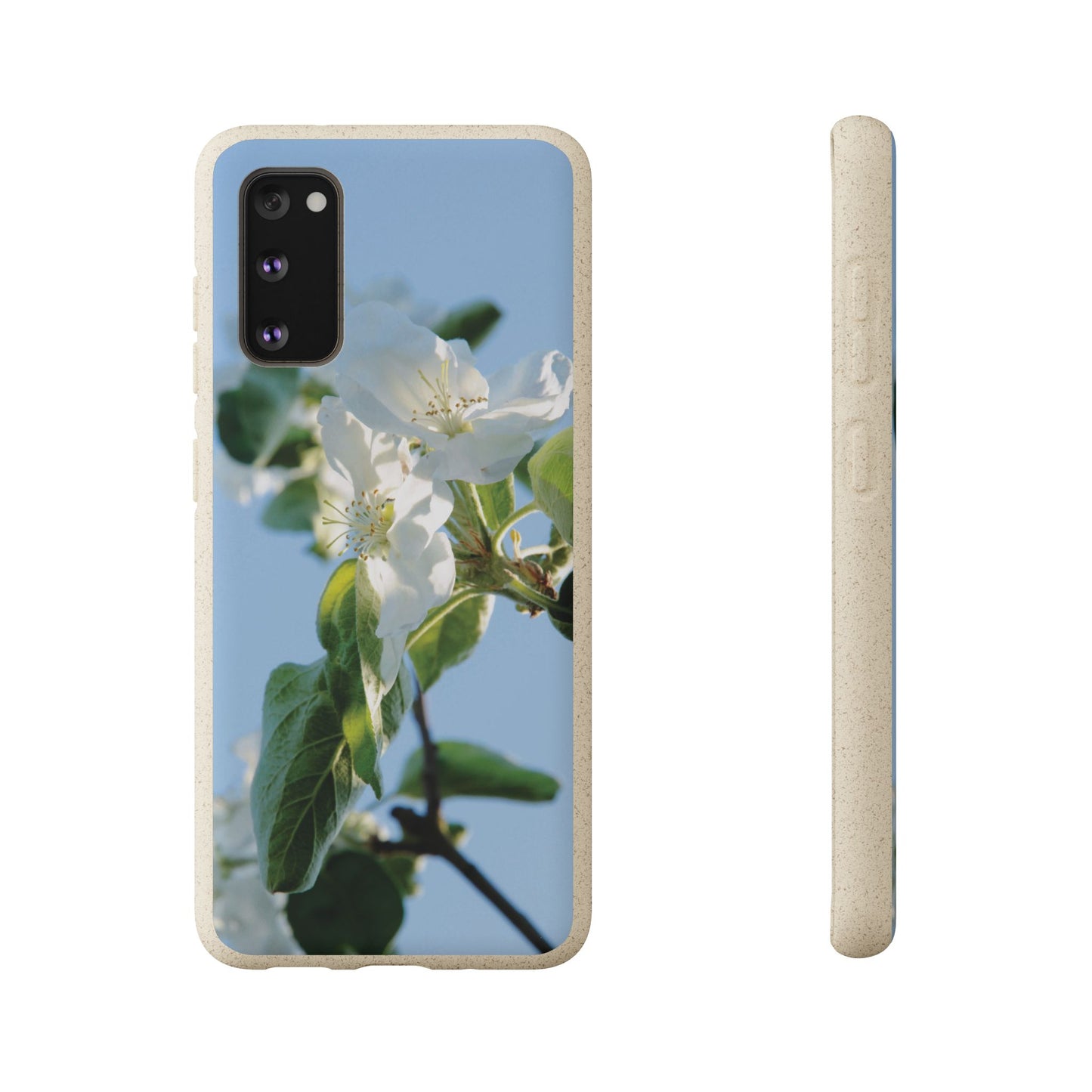 Eco-Friendly Biodegradable Phone Case ‚Apfelblüte‘/,Apple Blossom’ – Photo Design by Sarah Buhl – Magsafe® Compatible