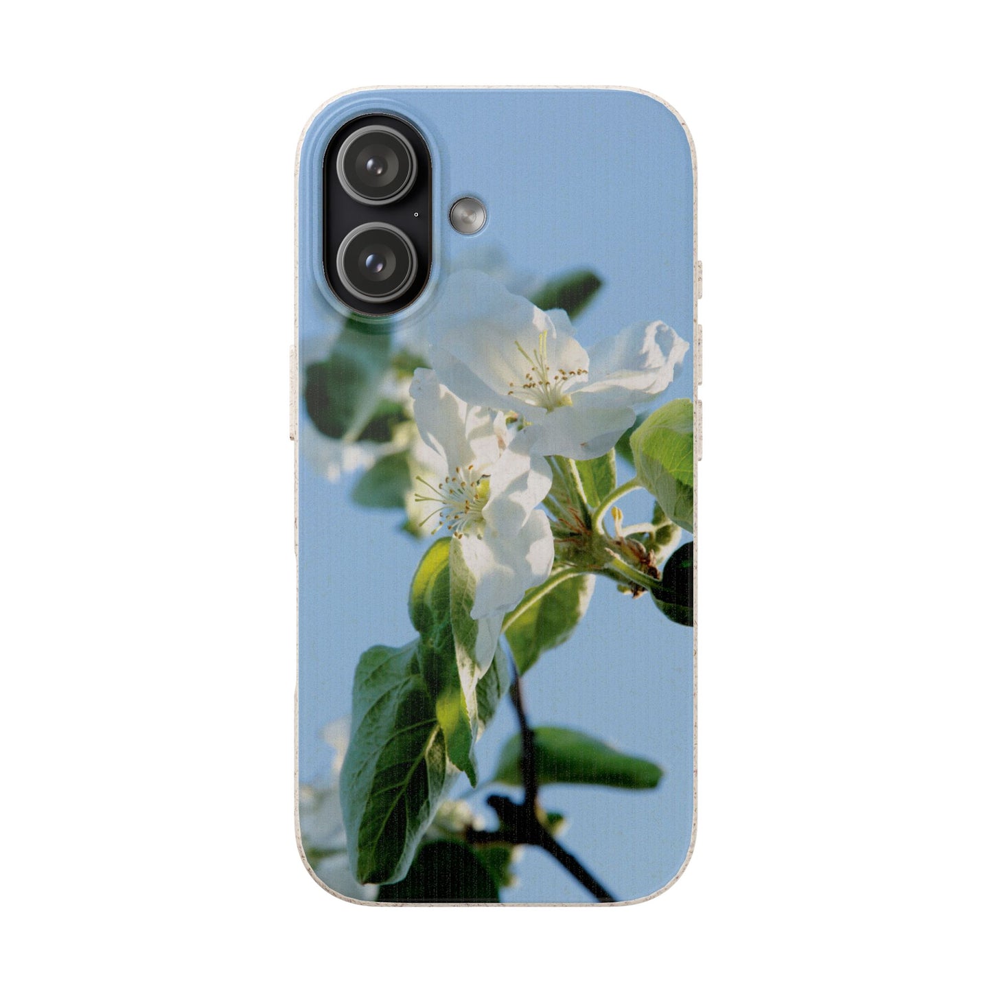 Biodegradable Phone Case „Apfelblüte/Apple Blossom“ – Eco-Friendly Artistic Accessory with Photo Design by Sarah Buhl – Magsafe® Compatible