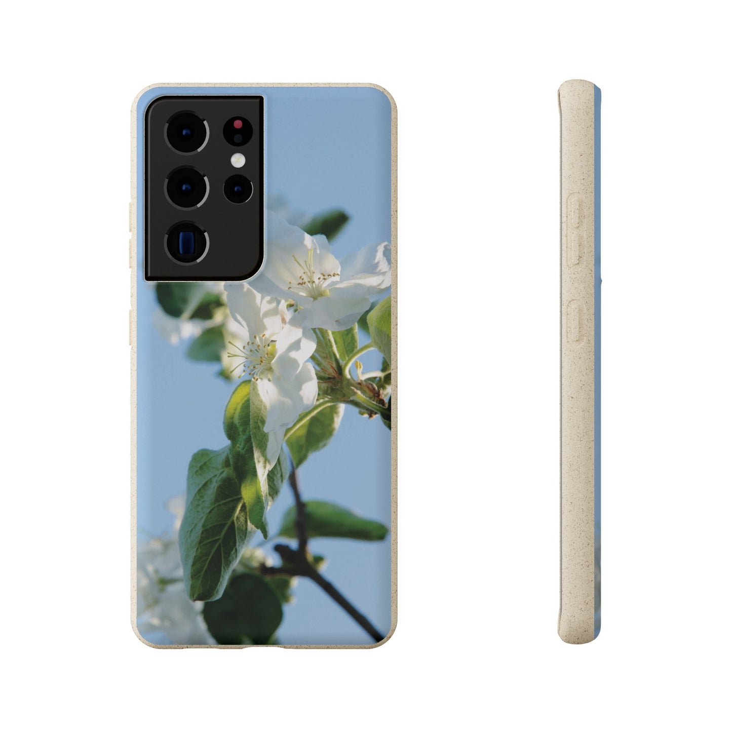 Eco-Friendly Biodegradable Phone Case ‚Apfelblüte‘/,Apple Blossom’ – Photo Design by Sarah Buhl – Magsafe® Compatible