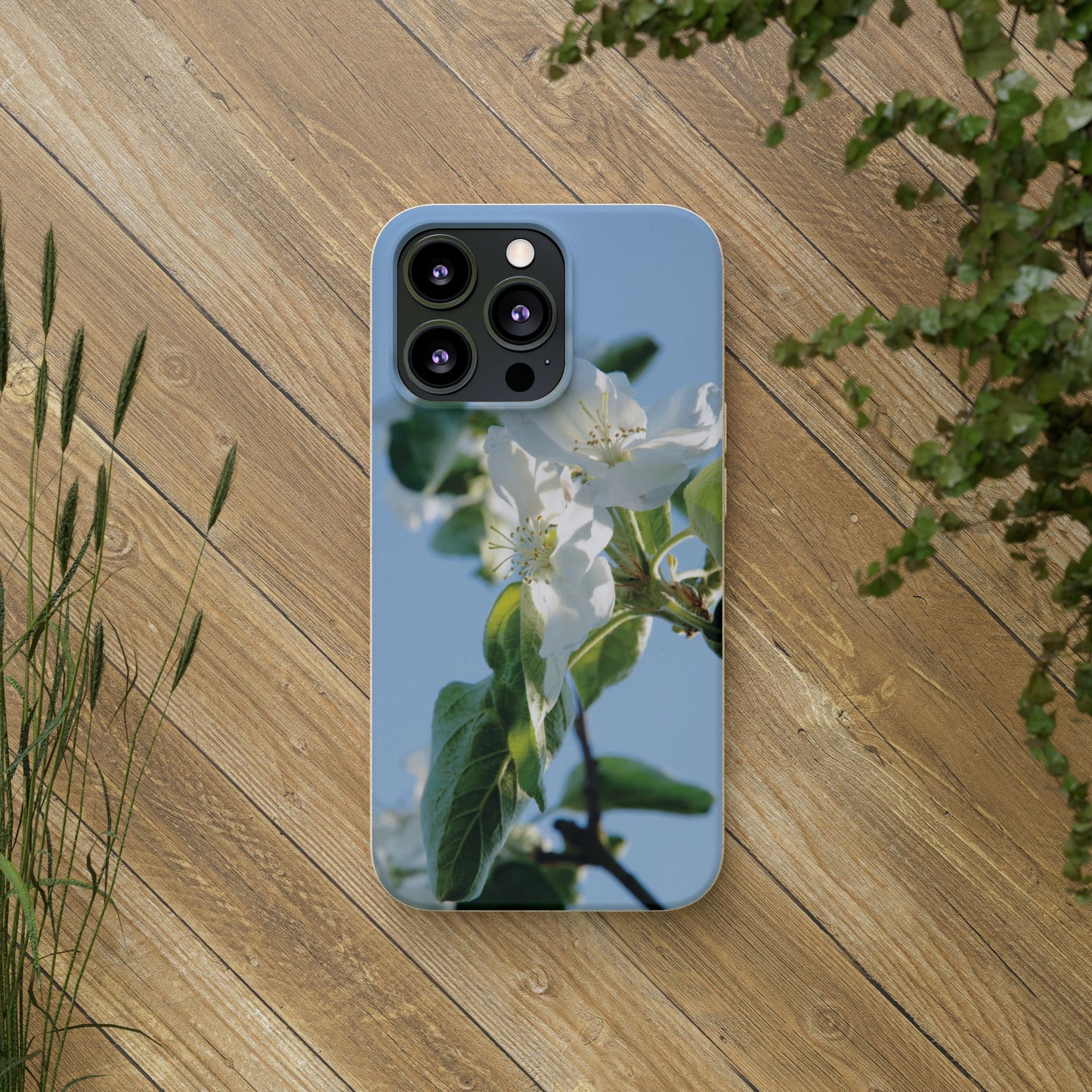 Eco-Friendly Biodegradable Phone Case ‚Apfelblüte‘/,Apple Blossom’ – Photo Design by Sarah Buhl – Magsafe® Compatible