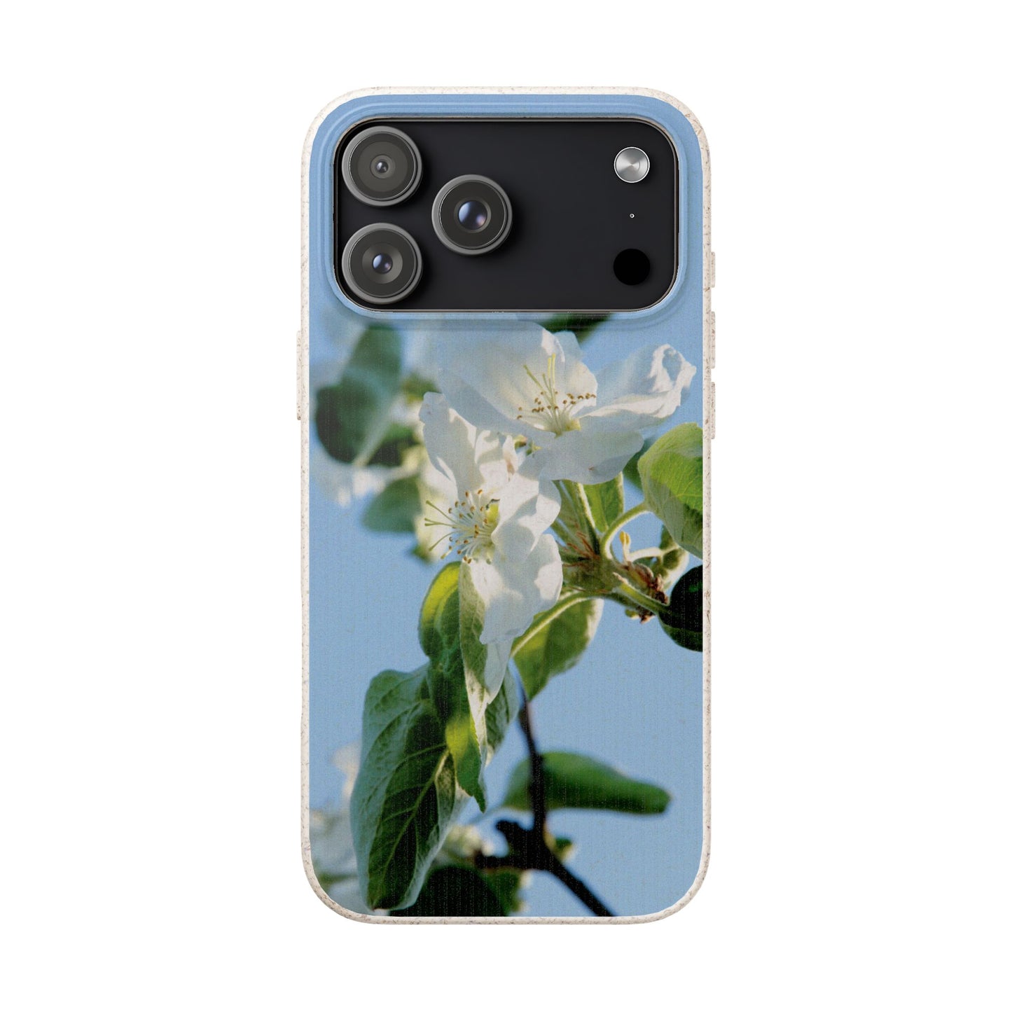 Biodegradable Phone Case „Apfelblüte/Apple Blossom“ – Eco-Friendly Artistic Accessory with Photo Design by Sarah Buhl – Magsafe® Compatible