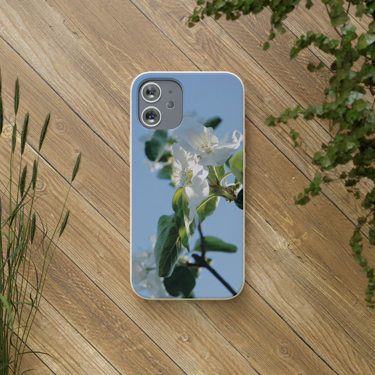 Eco-Friendly Biodegradable Phone Case ‚Apfelblüte‘/,Apple Blossom’ – Photo Design by Sarah Buhl – Magsafe® Compatible