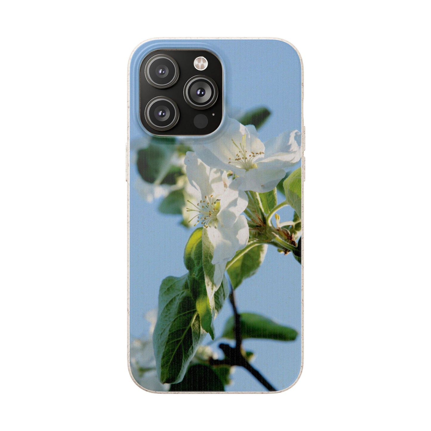 Biodegradable Phone Case „Apfelblüte/Apple Blossom“ – Eco-Friendly Artistic Accessory with Photo Design by Sarah Buhl – Magsafe® Compatible
