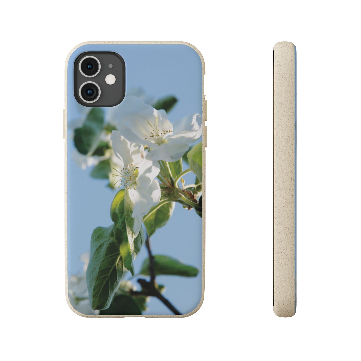 Biodegradable Phone Case „Apfelblüte/Apple Blossom“ – Eco-Friendly Artistic Accessory with Photo Design by Sarah Buhl – Magsafe® Compatible