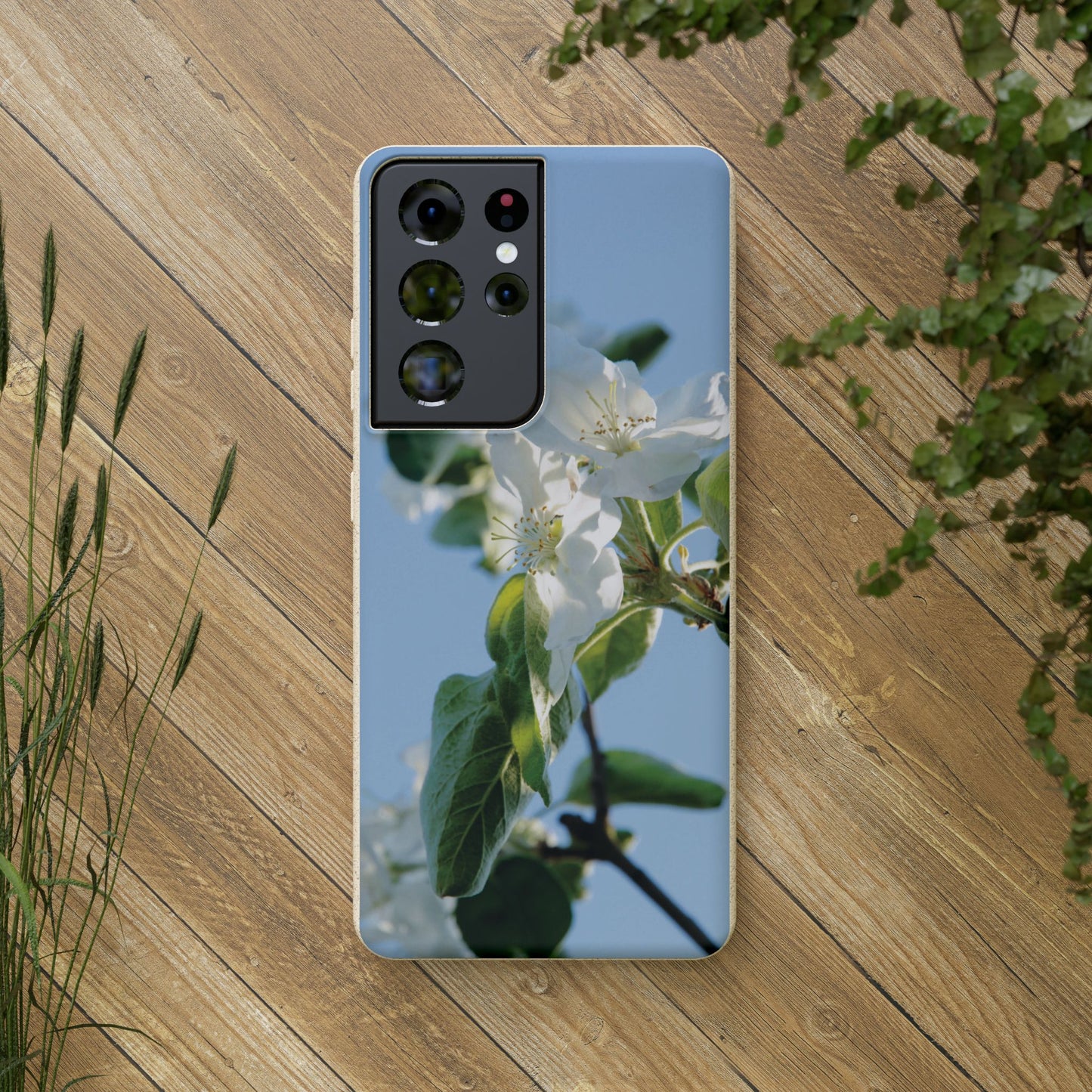 Eco-Friendly Biodegradable Phone Case ‚Apfelblüte‘/,Apple Blossom’ – Photo Design by Sarah Buhl – Magsafe® Compatible