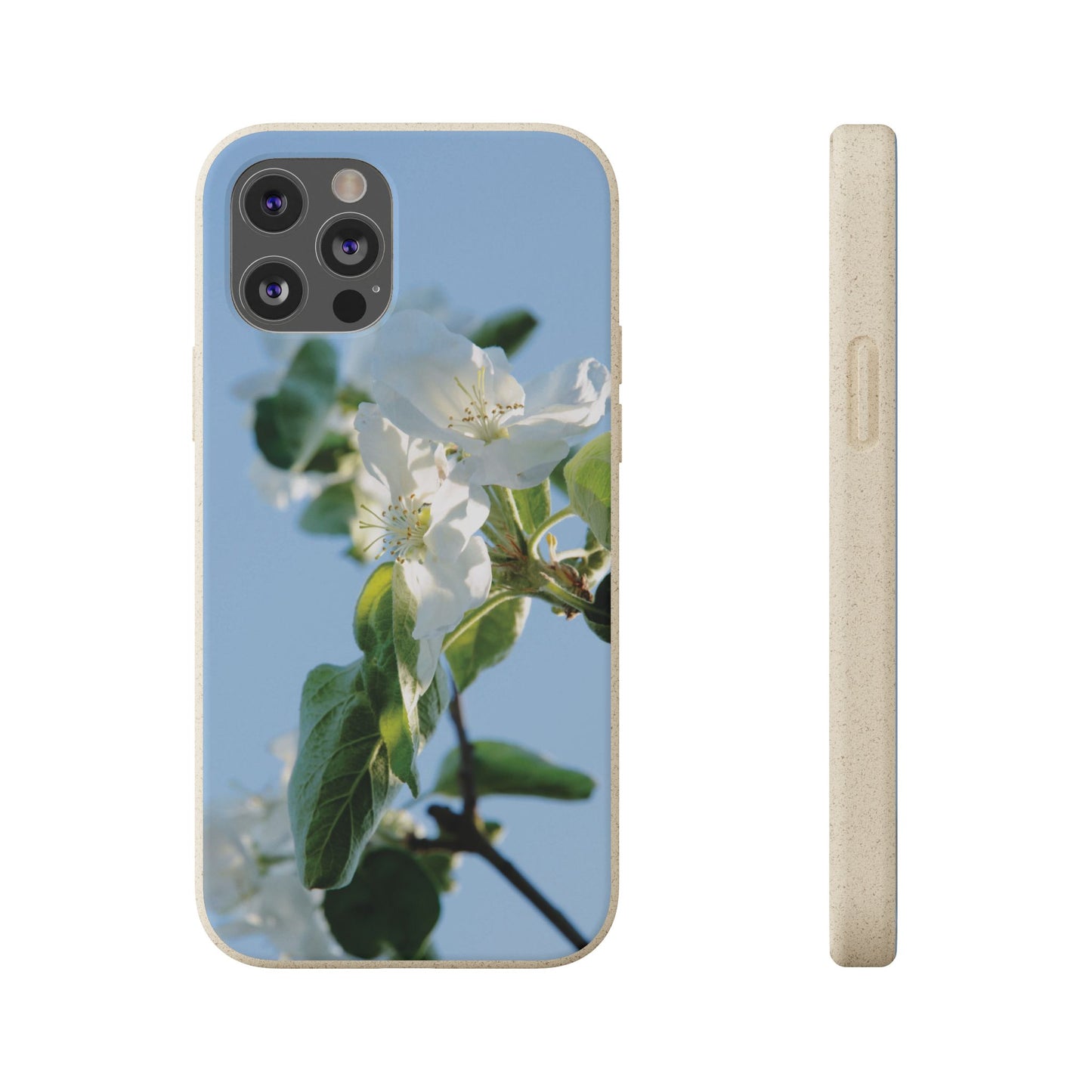 Biodegradable Phone Case „Apfelblüte/Apple Blossom“ – Eco-Friendly Artistic Accessory with Photo Design by Sarah Buhl – Magsafe® Compatible
