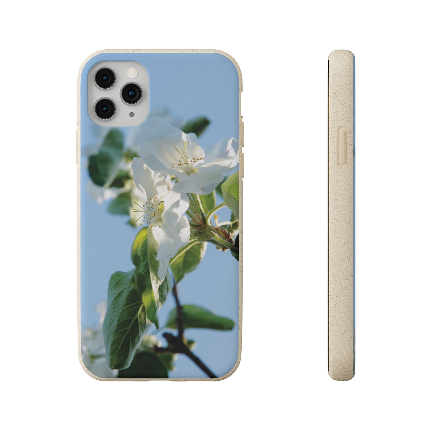 Biodegradable Phone Case „Apfelblüte/Apple Blossom“ – Eco-Friendly Artistic Accessory with Photo Design by Sarah Buhl – Magsafe® Compatible