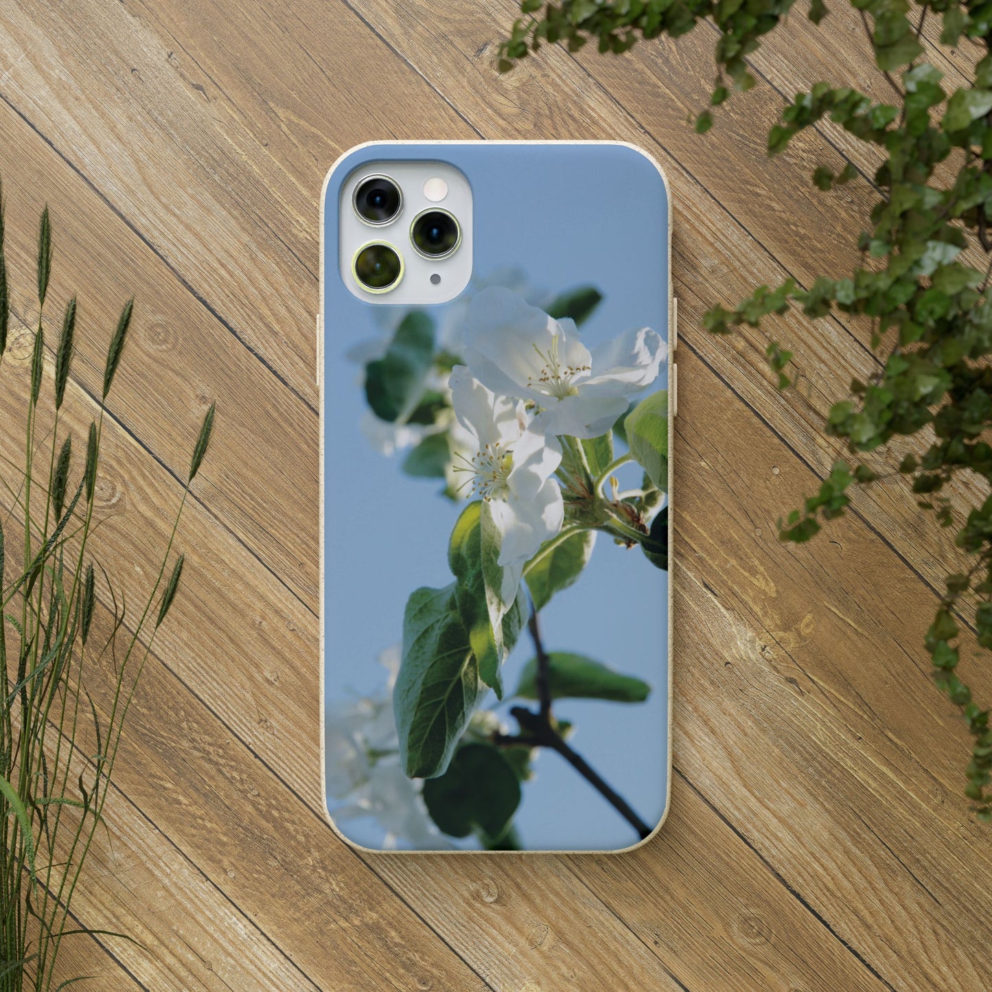 Eco-Friendly Biodegradable Phone Case ‚Apfelblüte‘/,Apple Blossom’ – Photo Design by Sarah Buhl – Magsafe® Compatible